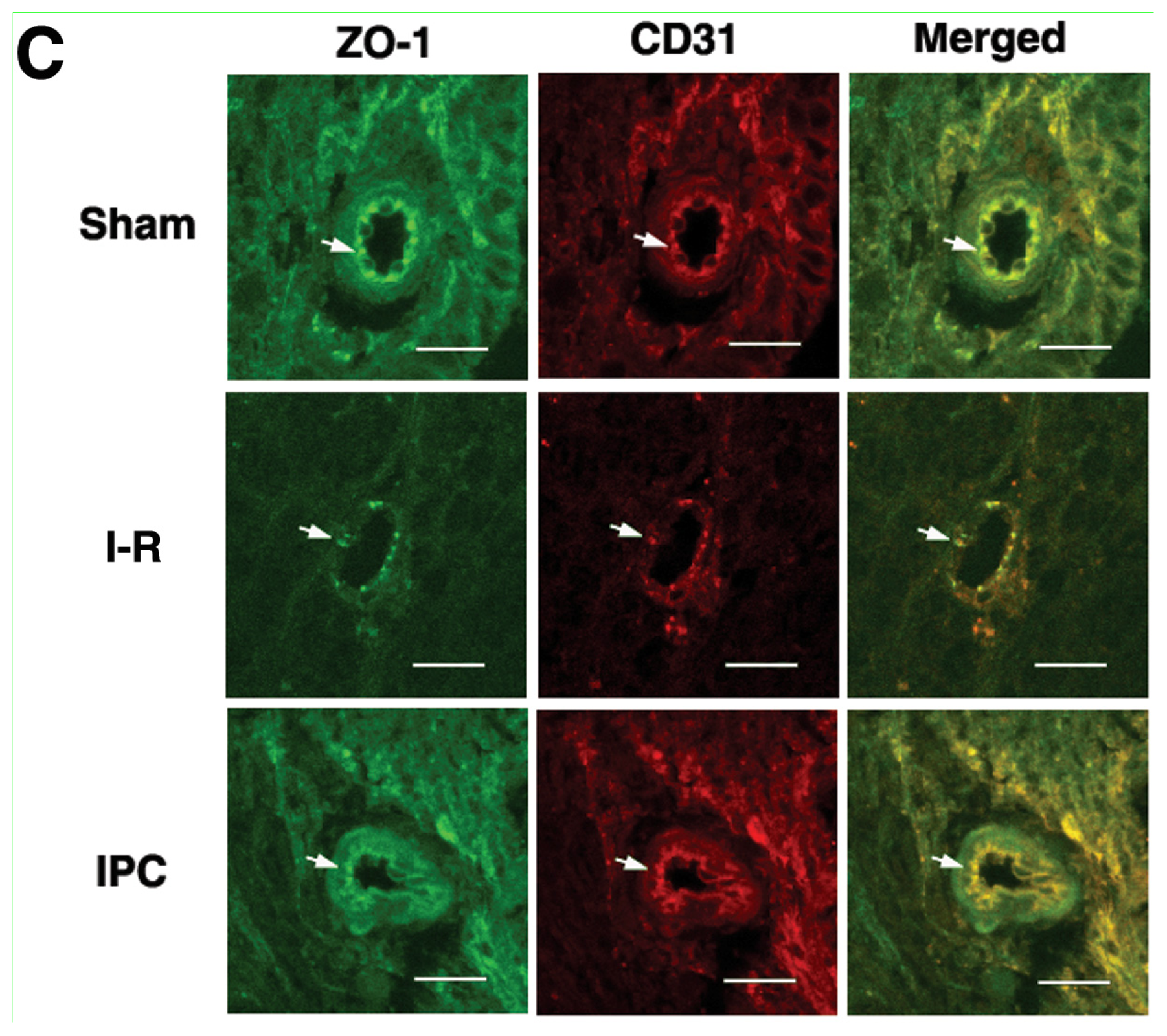 Ijms 14 10343f3b 1024