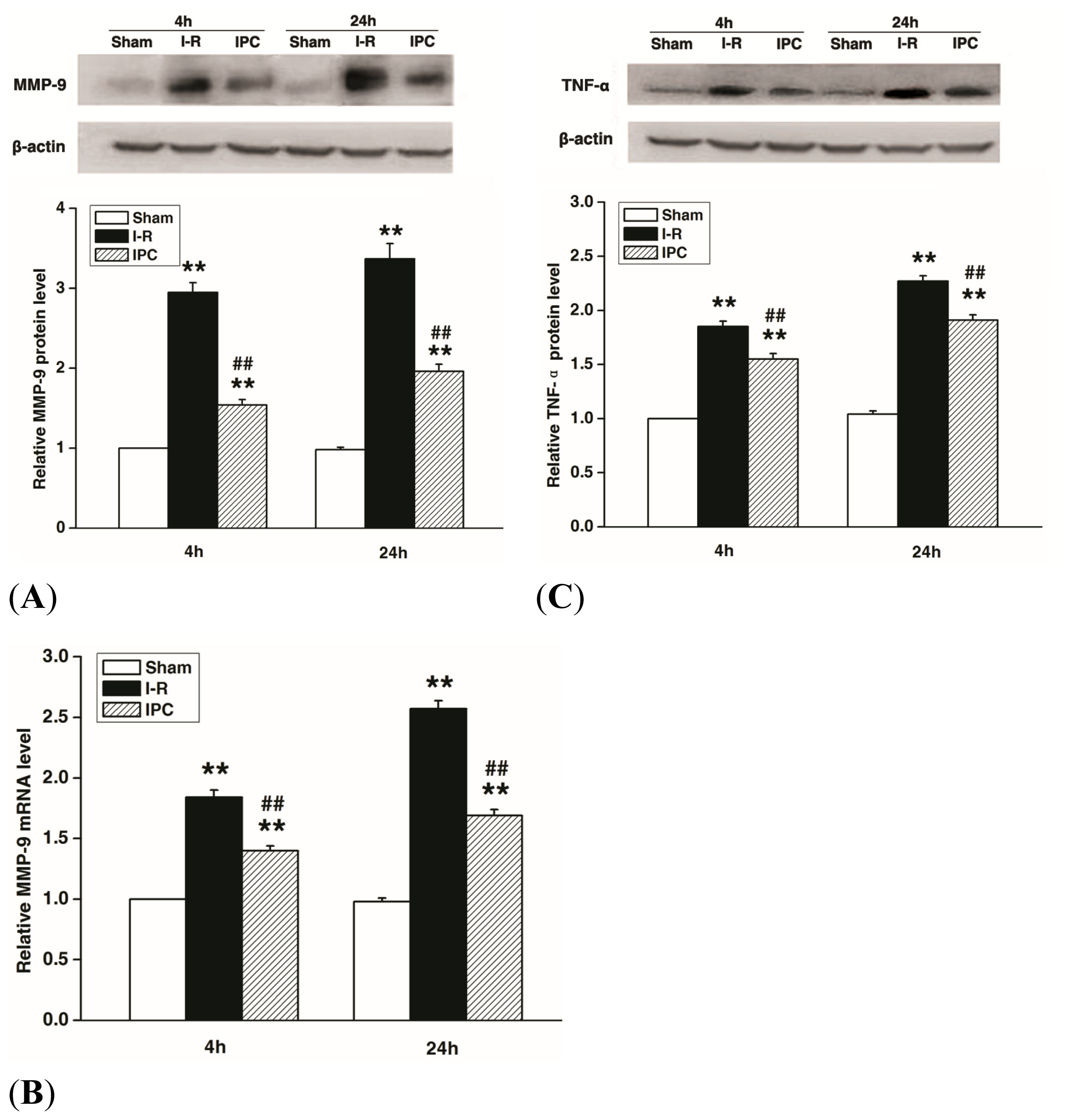 Ijms 14 10343f4 1024