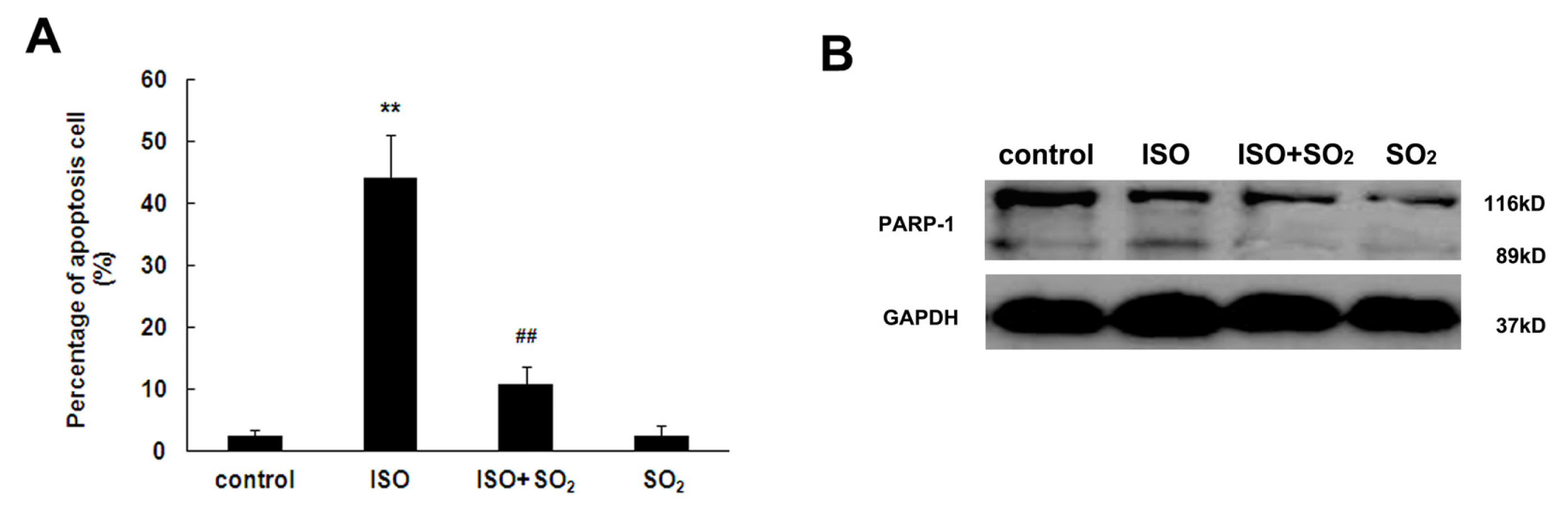 Ijms 14 10465f3a 1024