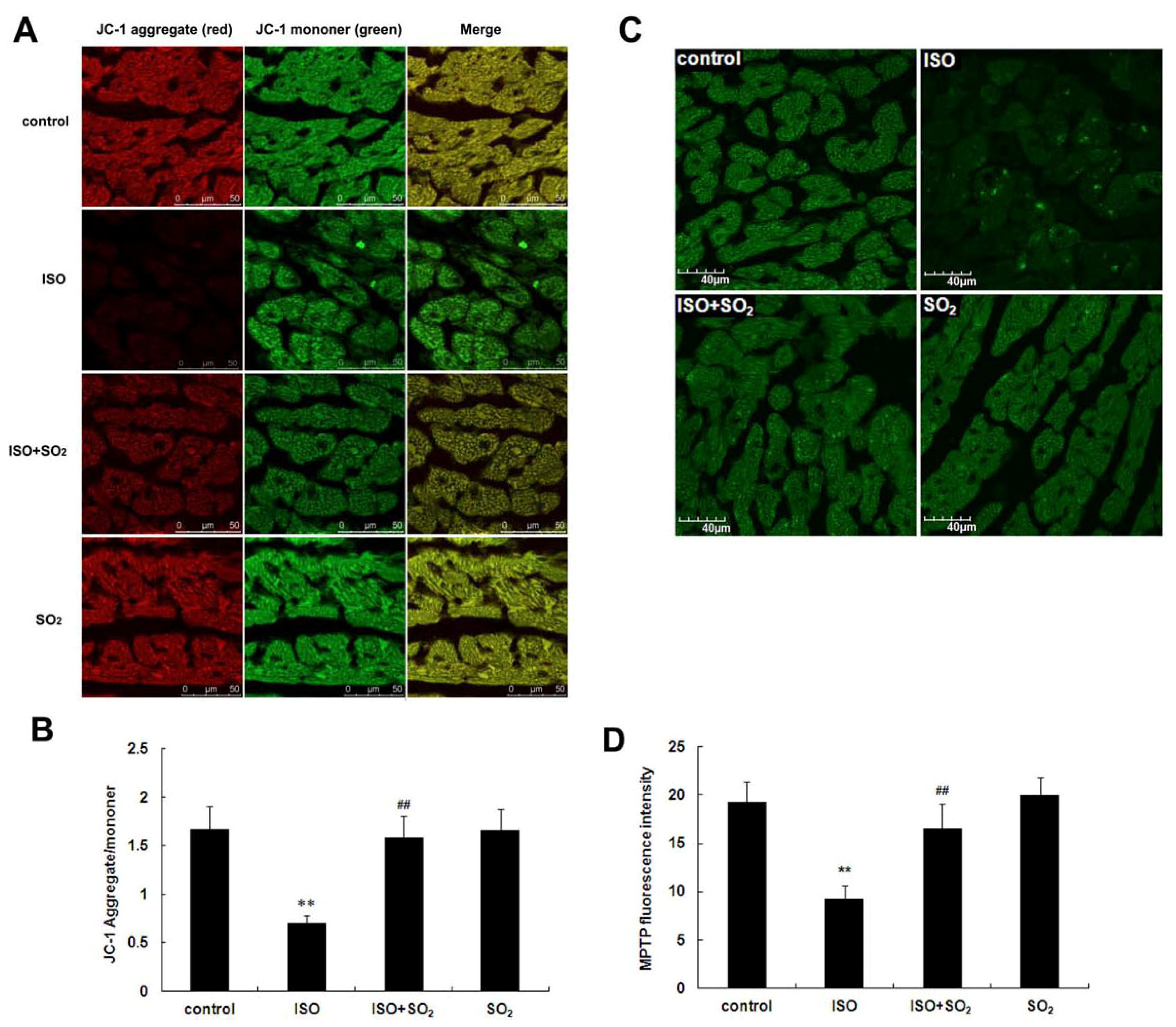 Ijms 14 10465f5 1024