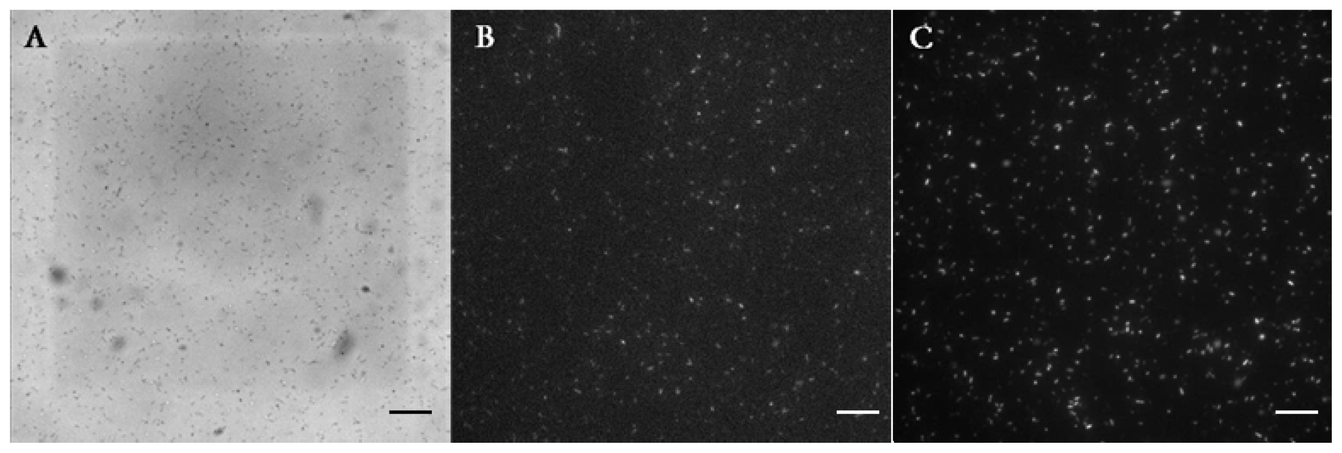 Ijms 14 10570f4 1024