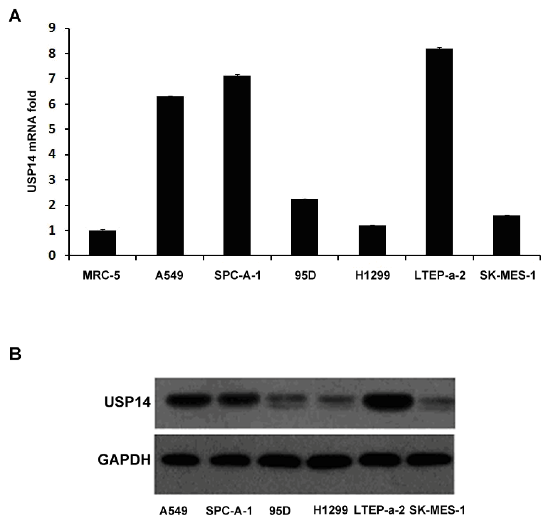 Ijms 14 10749f1 1024