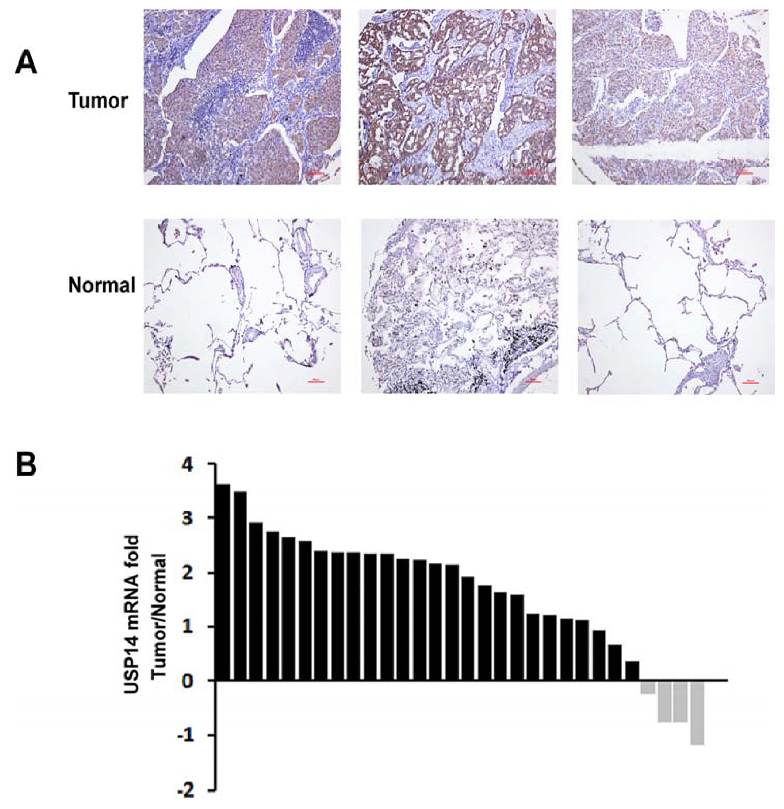 Ijms 14 10749f2 1024