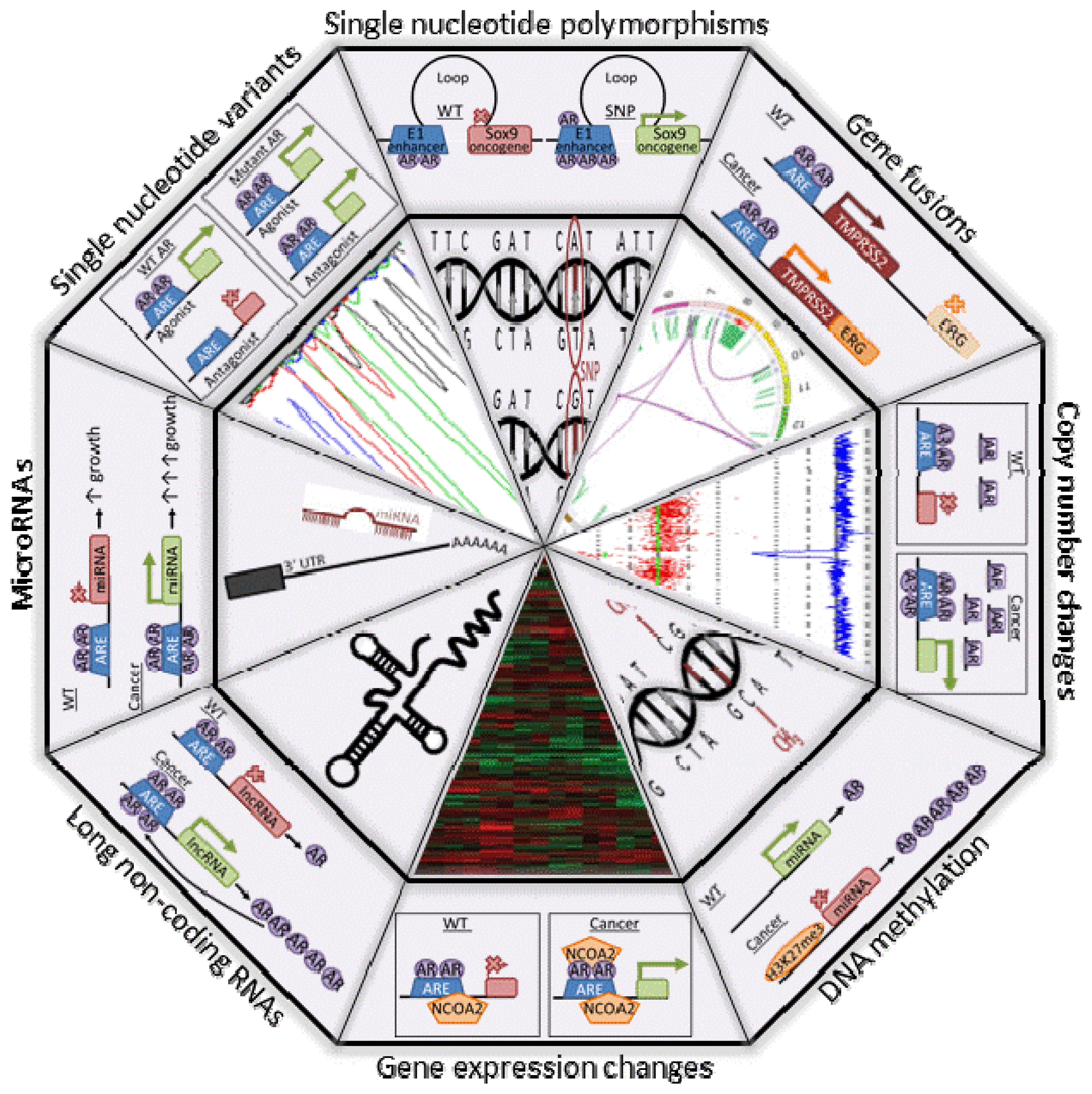 Ijms 14 10822f2 1024