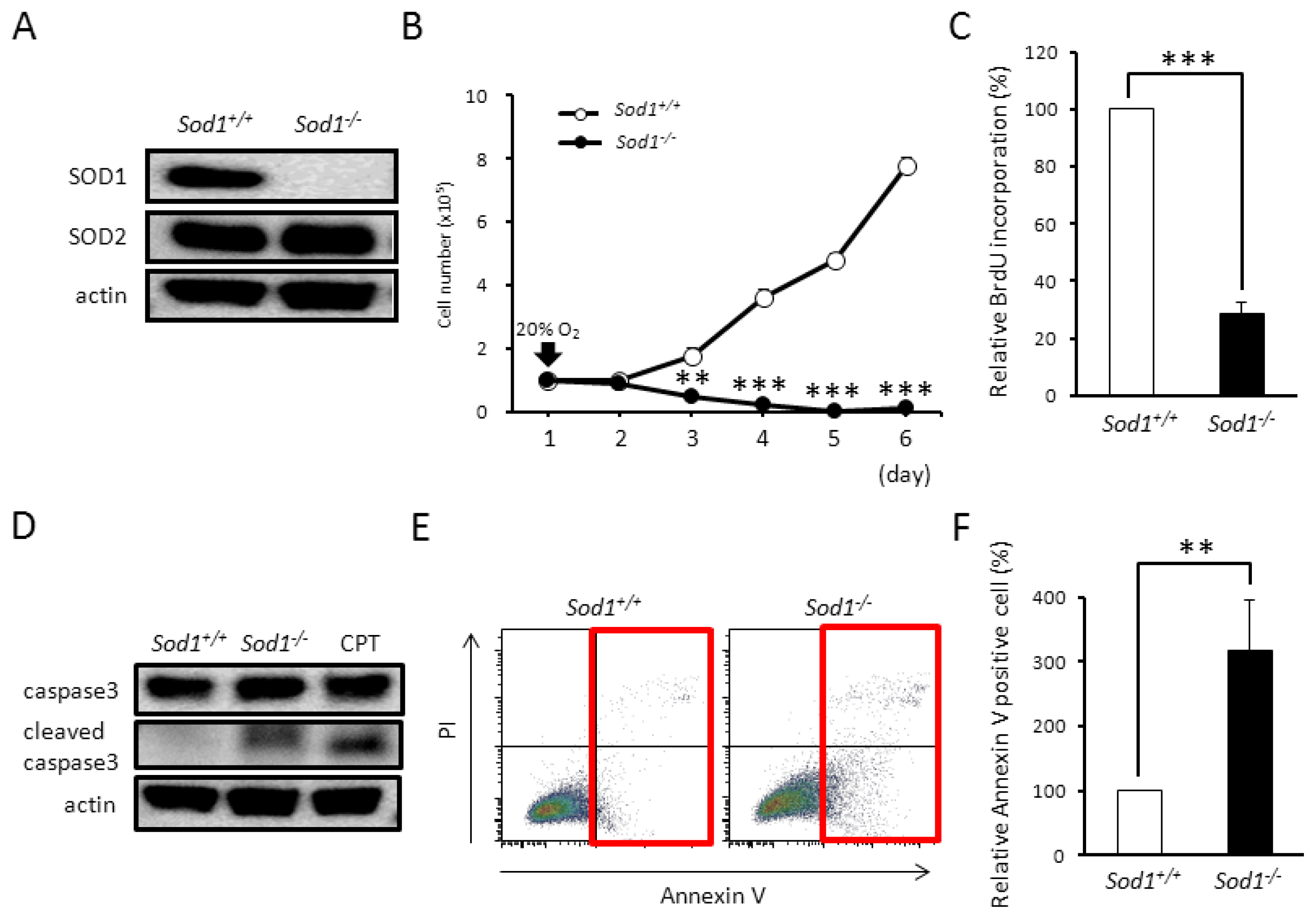 Ijms 14 10998f1 1024