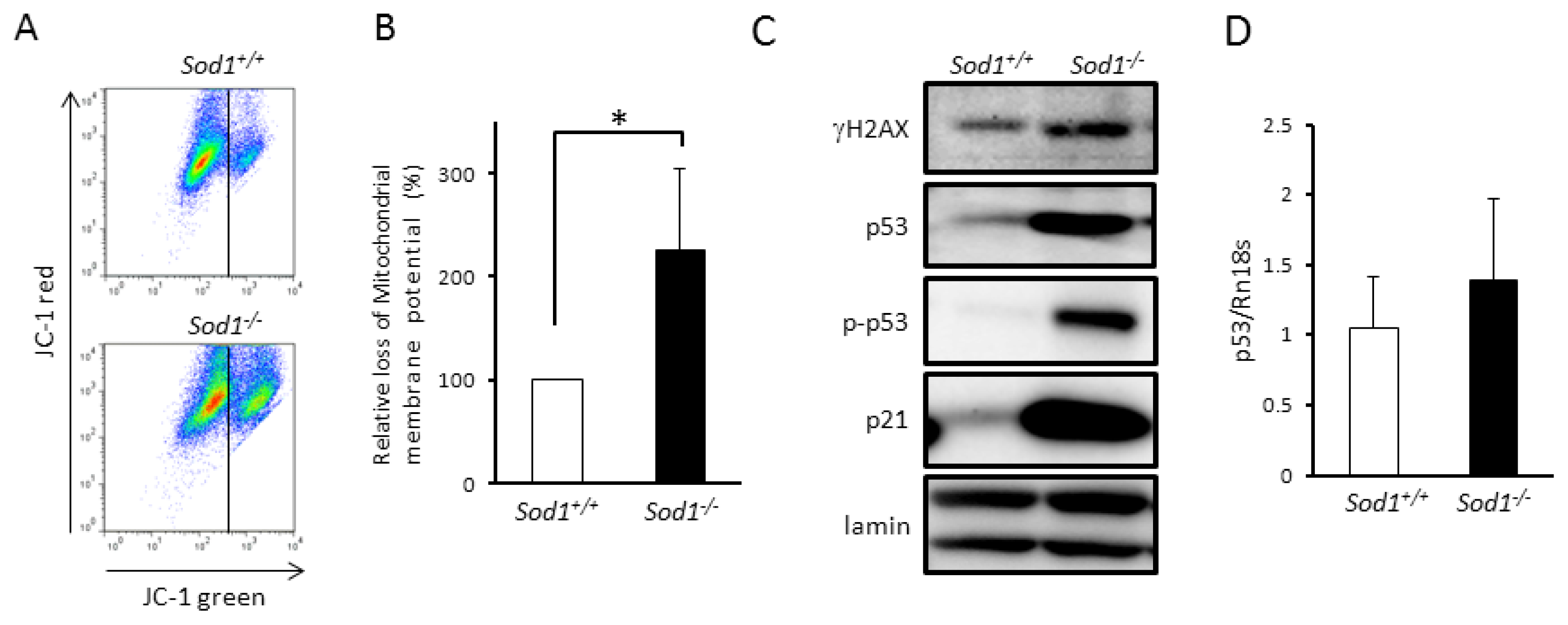 Ijms 14 10998f3 1024
