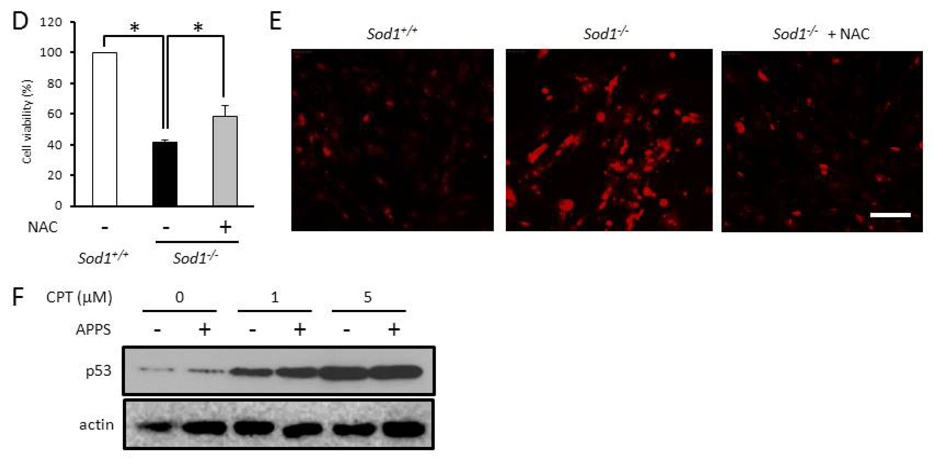 Ijms 14 10998f4b 1024