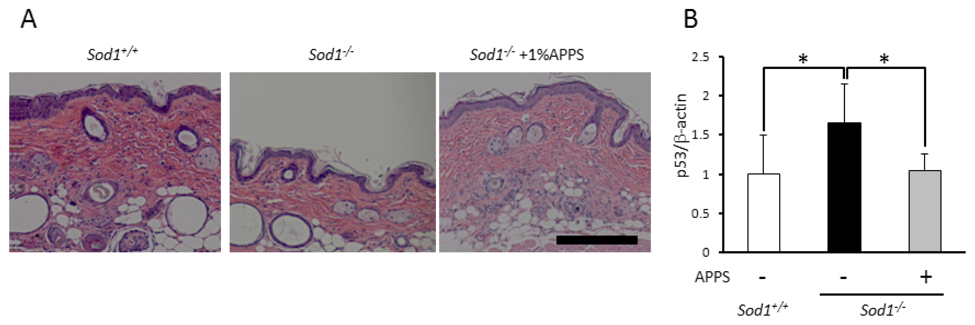 Ijms 14 10998f5 1024