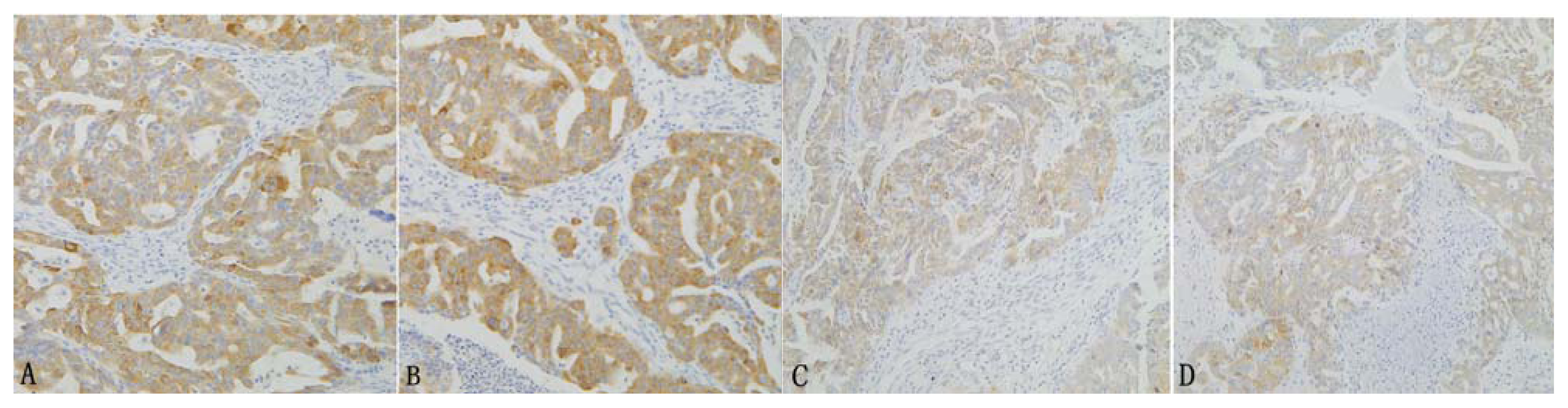 Ijms 14 11024f2 1024