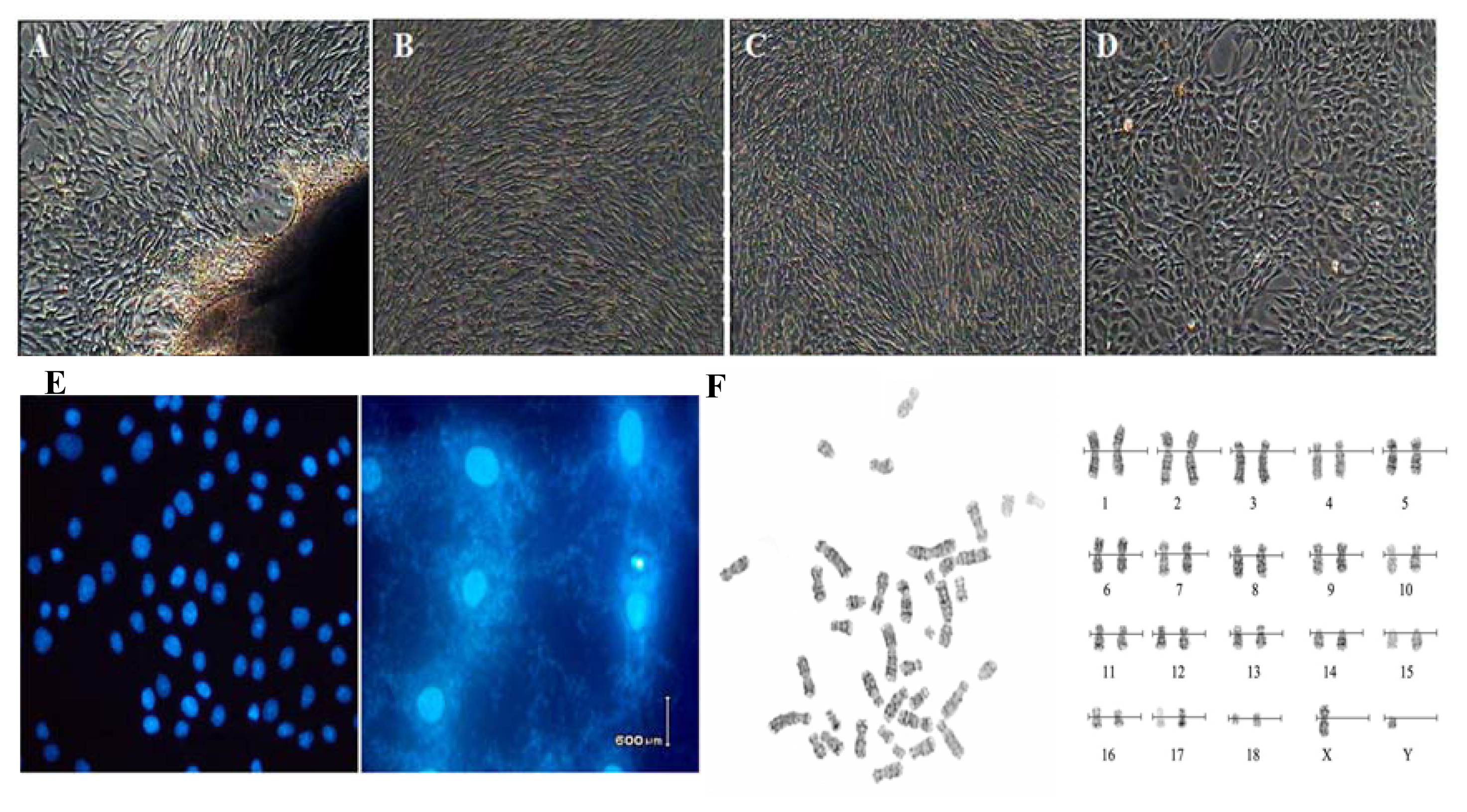 Ijms 14 11072f1 1024