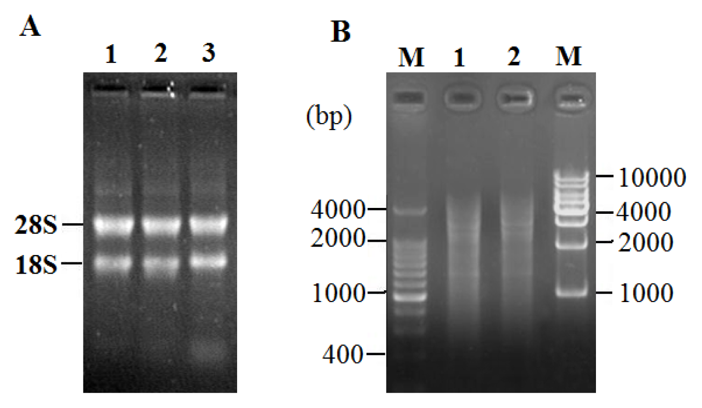 Ijms 14 11072f2 1024