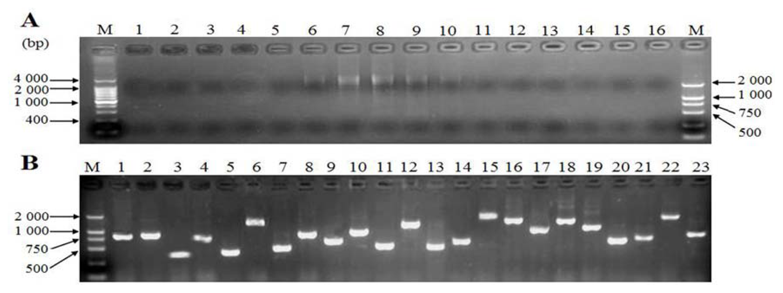 Ijms 14 11072f3 1024