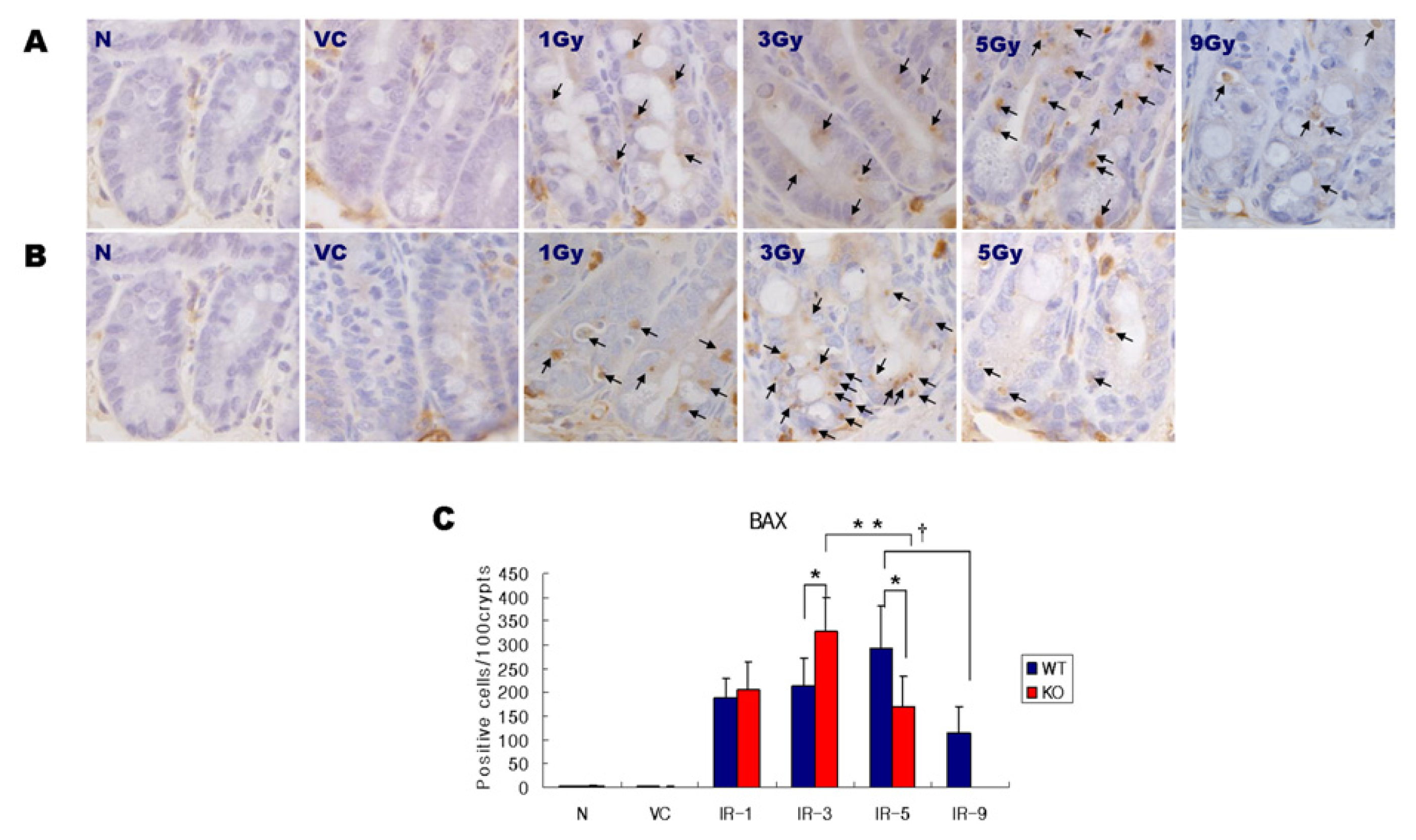 Ijms 14 11084f3 1024