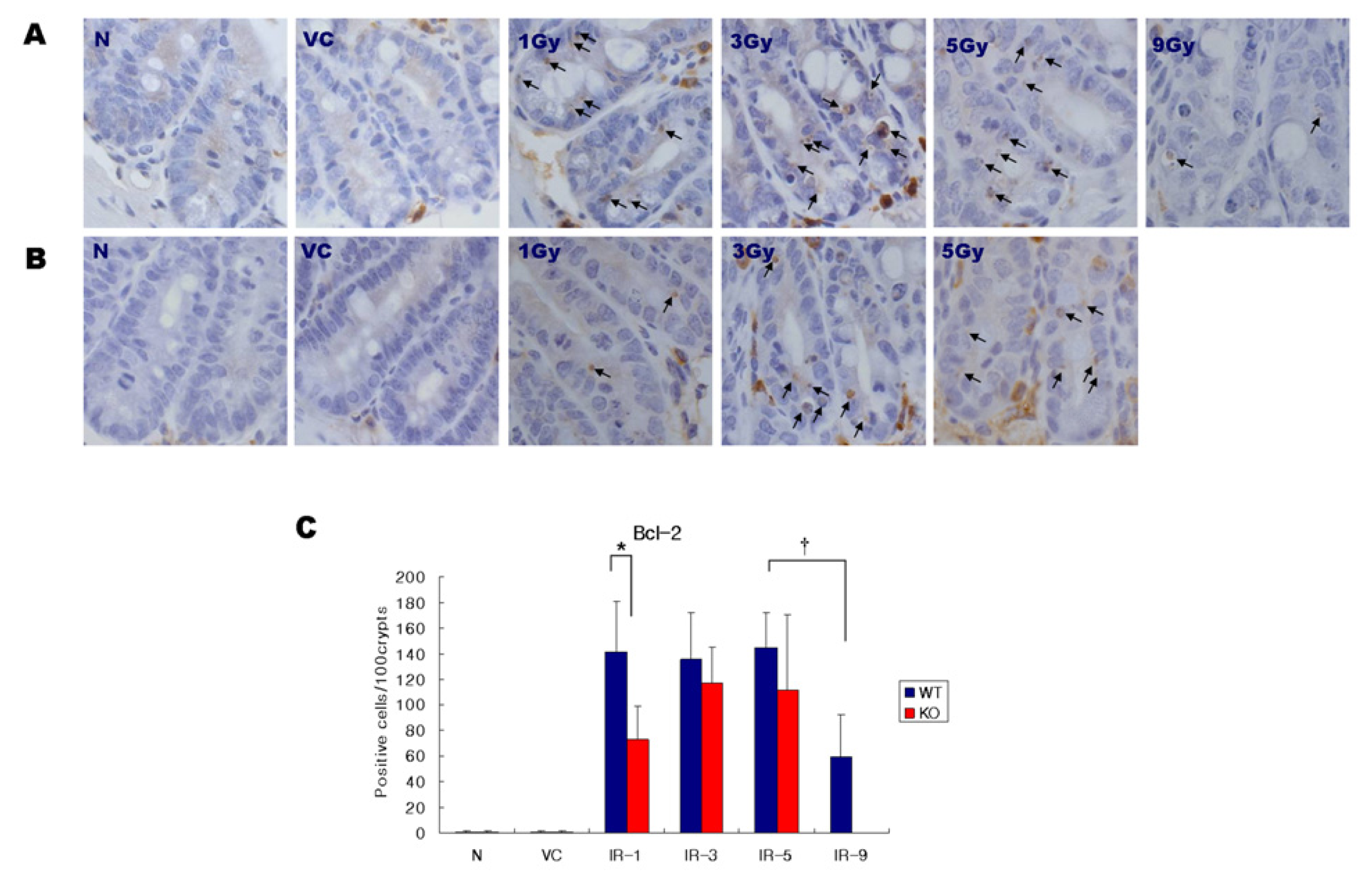 Ijms 14 11084f4 1024