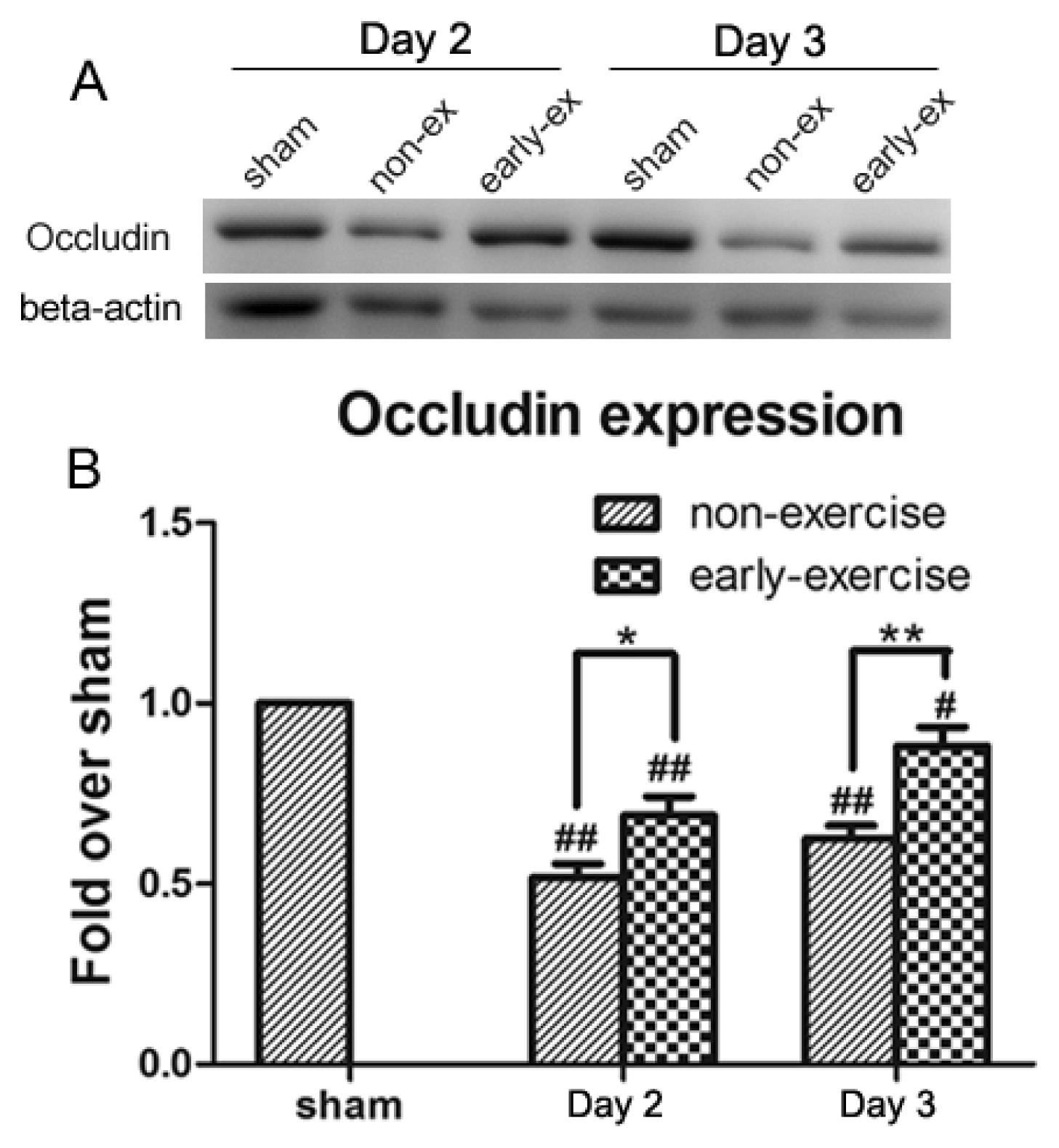 Ijms 14 11096f8 1024