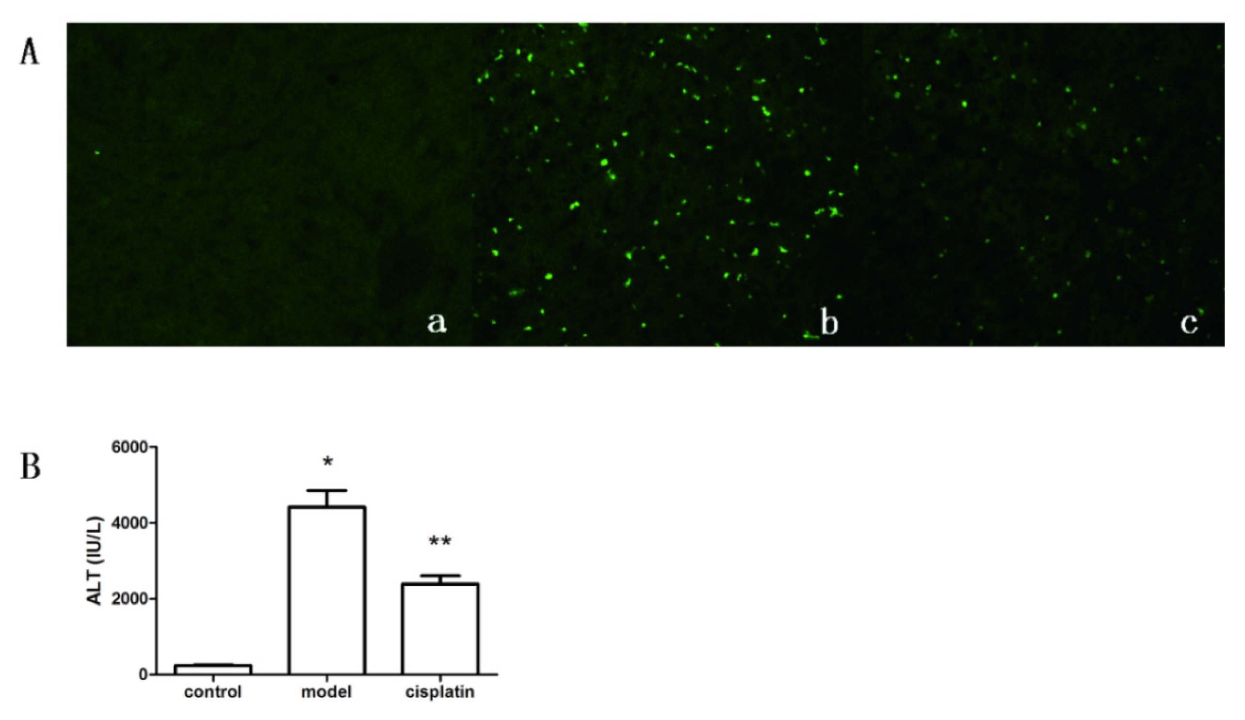 Ijms 14 11224f4 1024