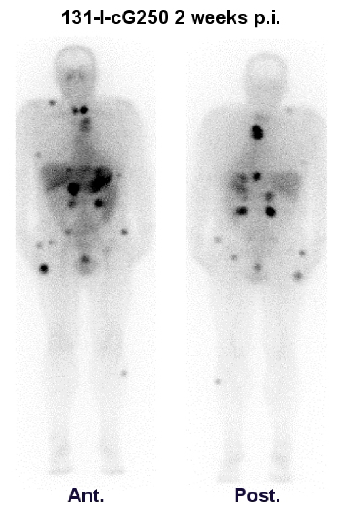 Ijms 14 11402f2 1024