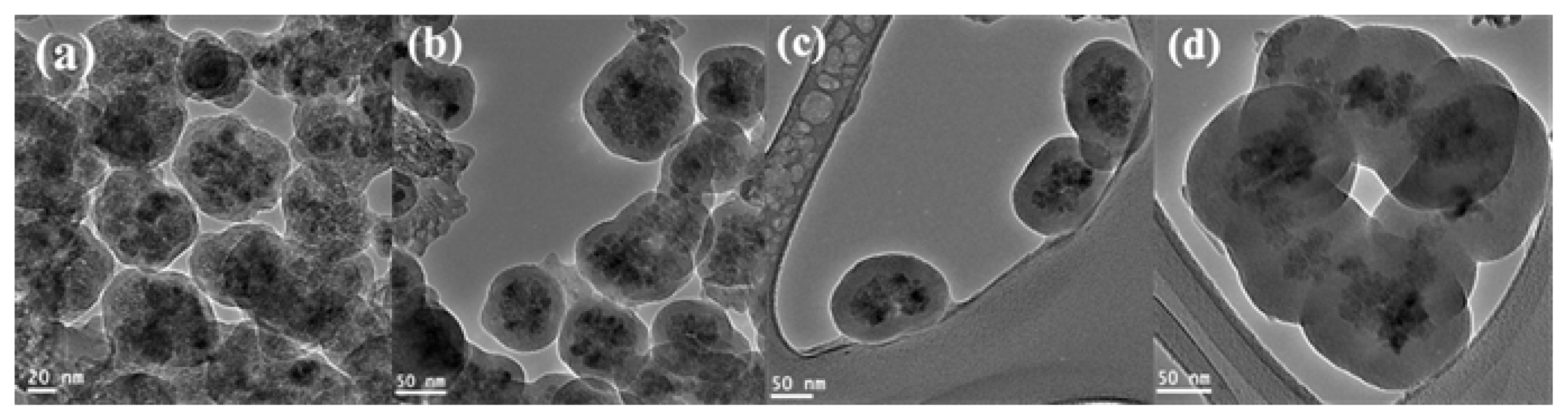 Ijms 14 11496f3 1024