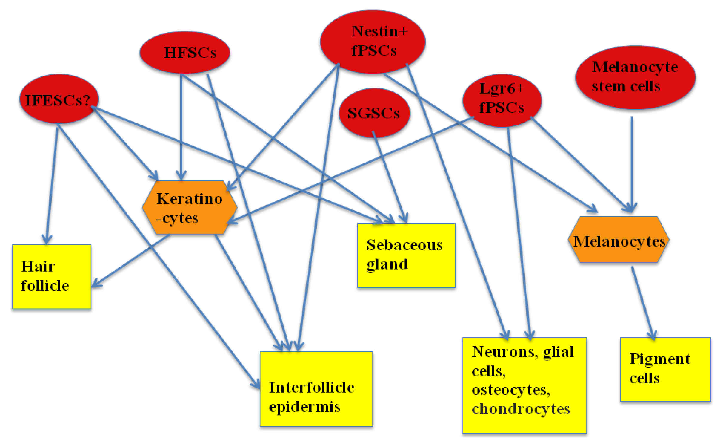 Ijms 14 11626f1 1024