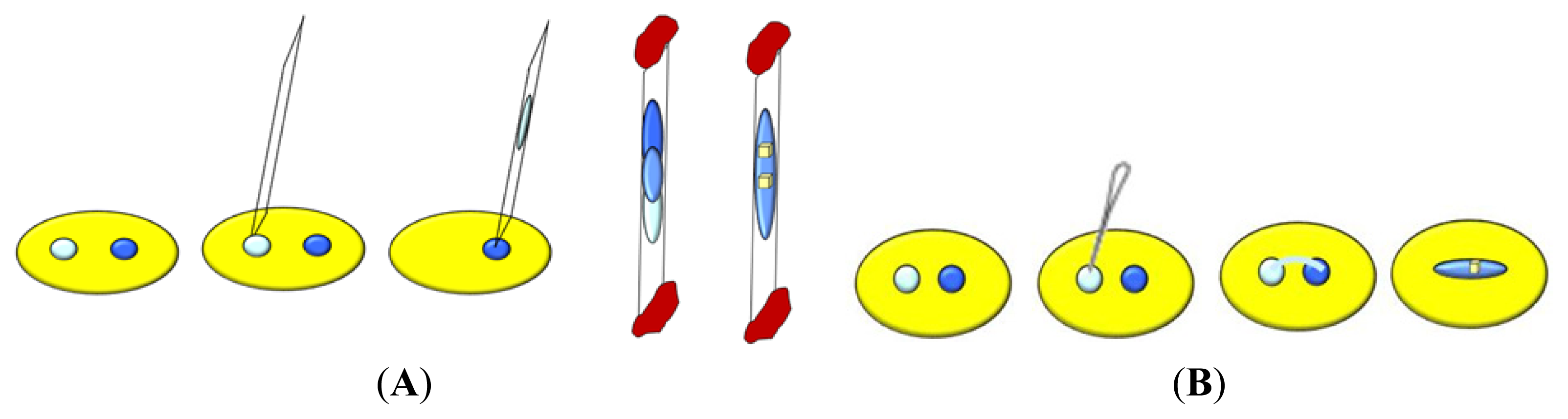 Ijms 14 11643f7