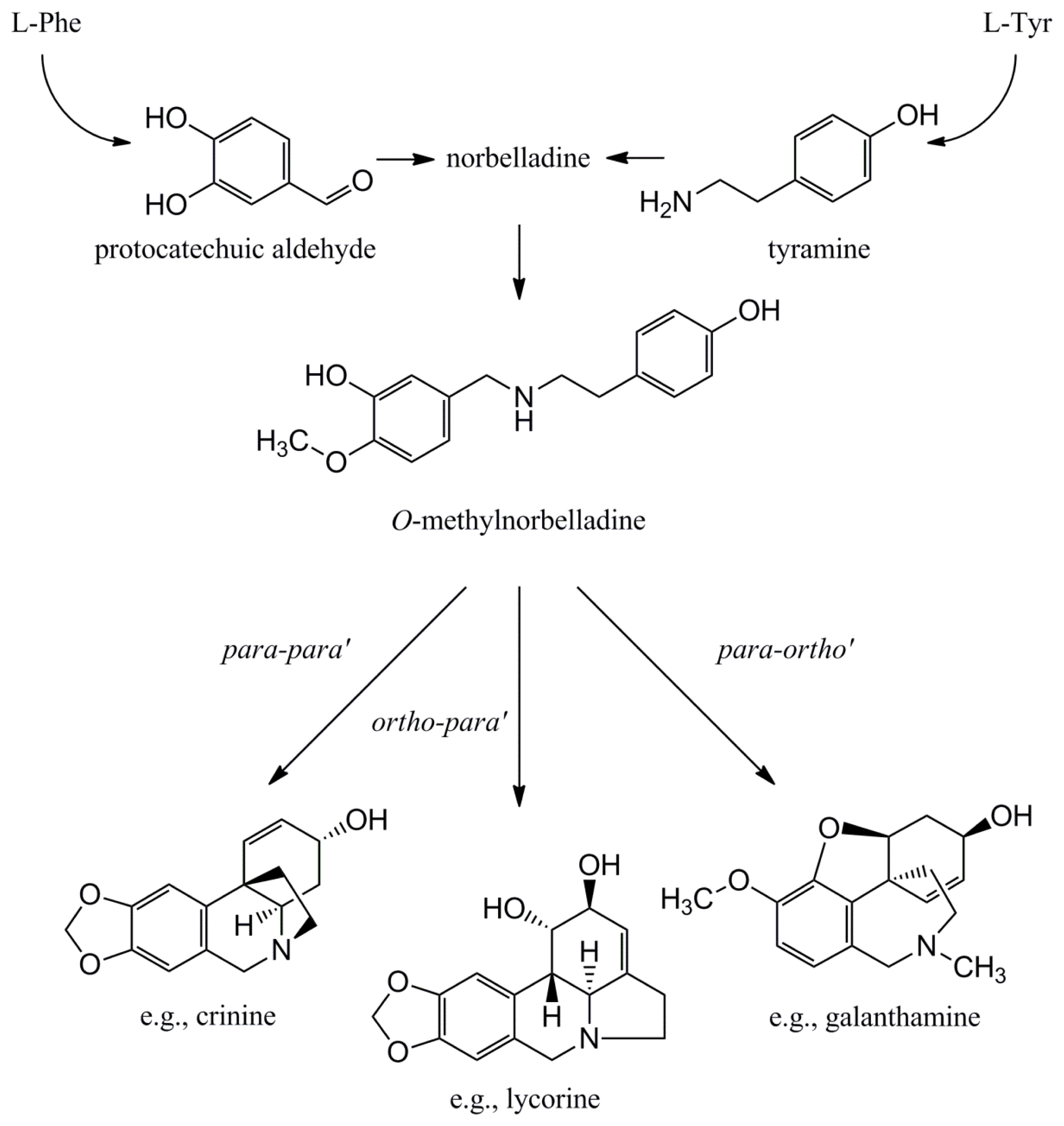 Ijms 14 11713f3 1024
