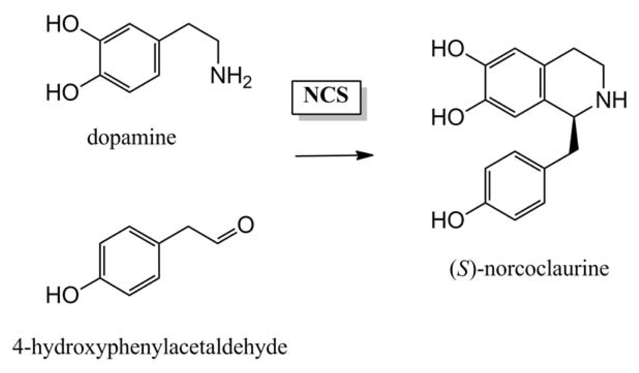 Ijms 14 11713f4 1024
