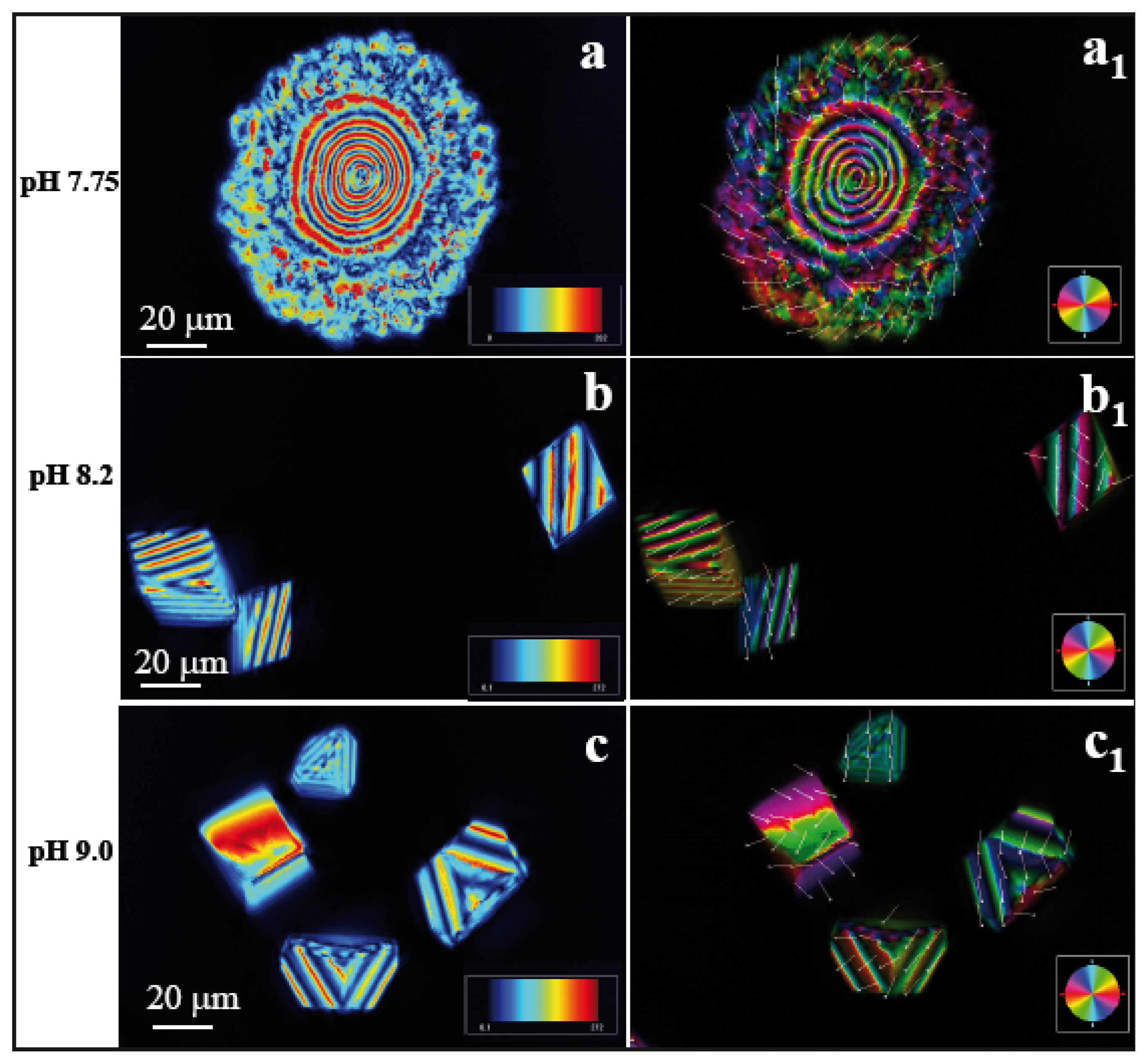 Ijms 14 11842f3 1024