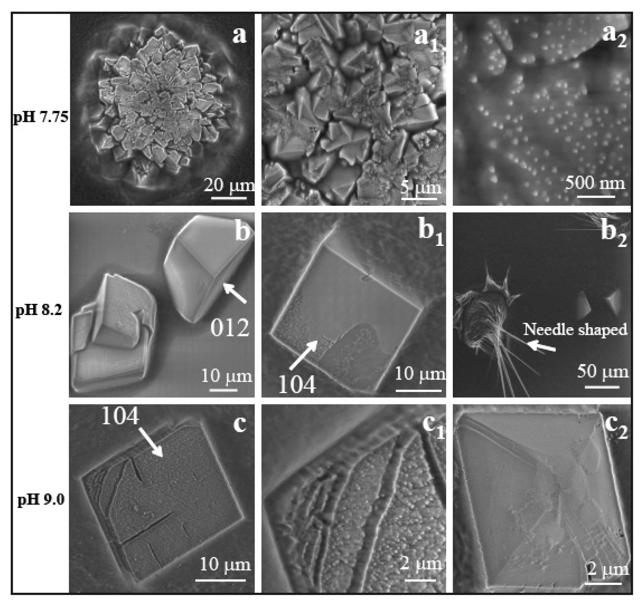 Ijms 14 11842f5 1024