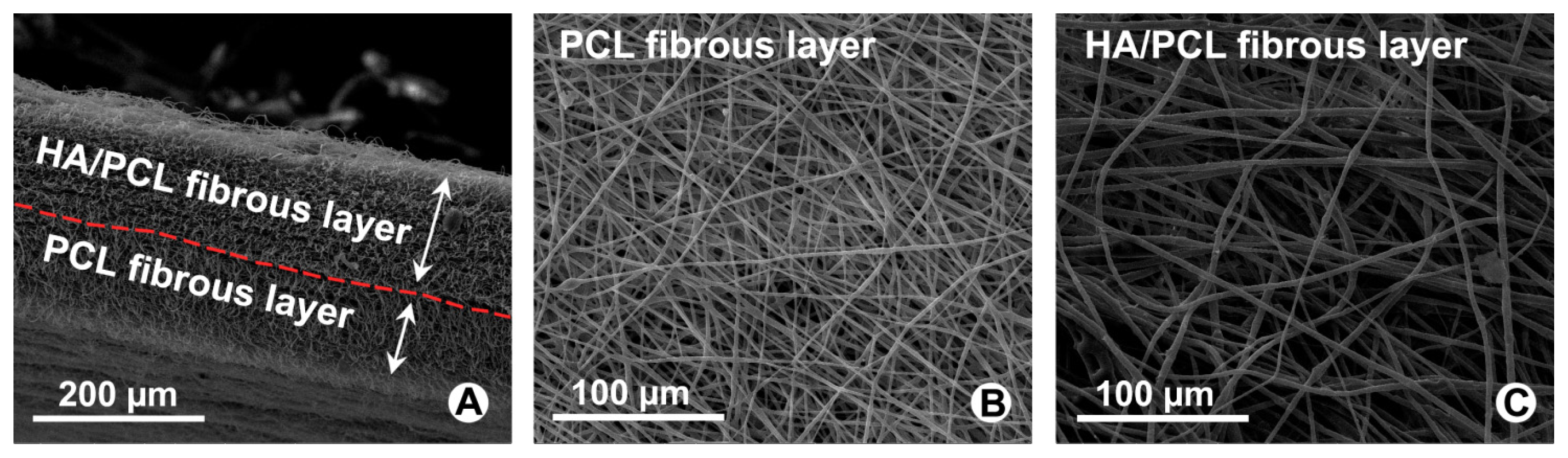 Ijms 14 11861f1 1024