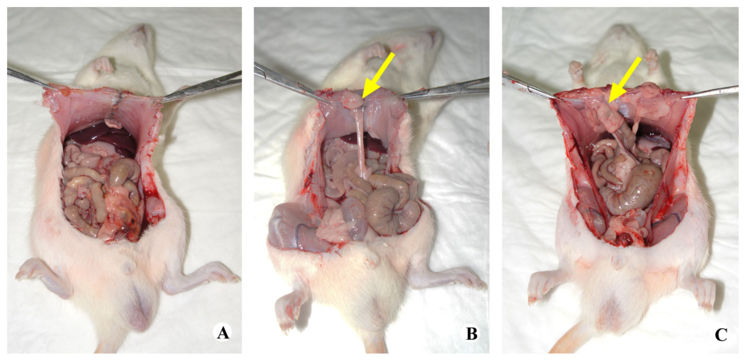 Ijms 14 11861f2 1024