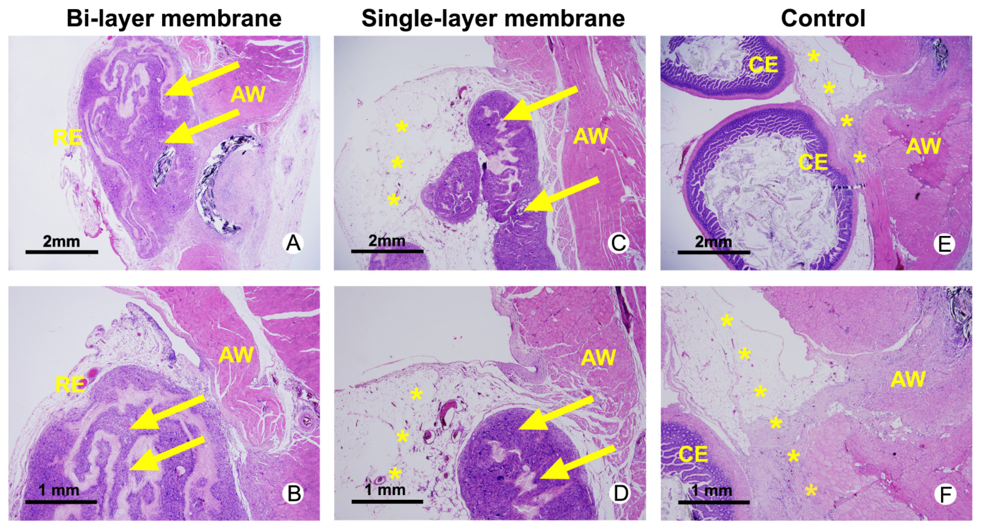 Ijms 14 11861f4 1024