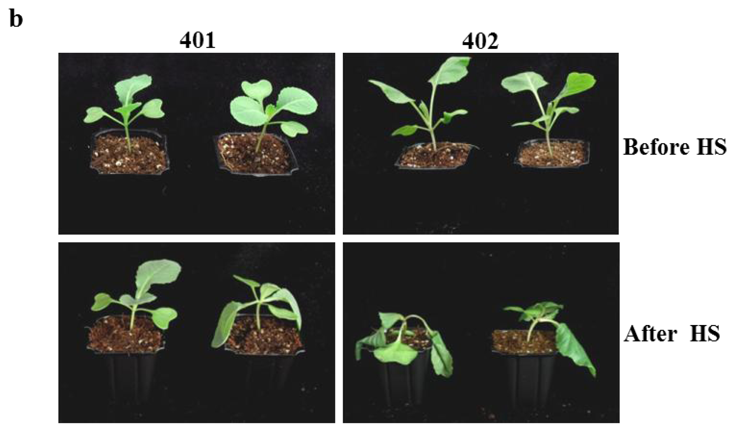 Ijms 14 11871f4b 1024