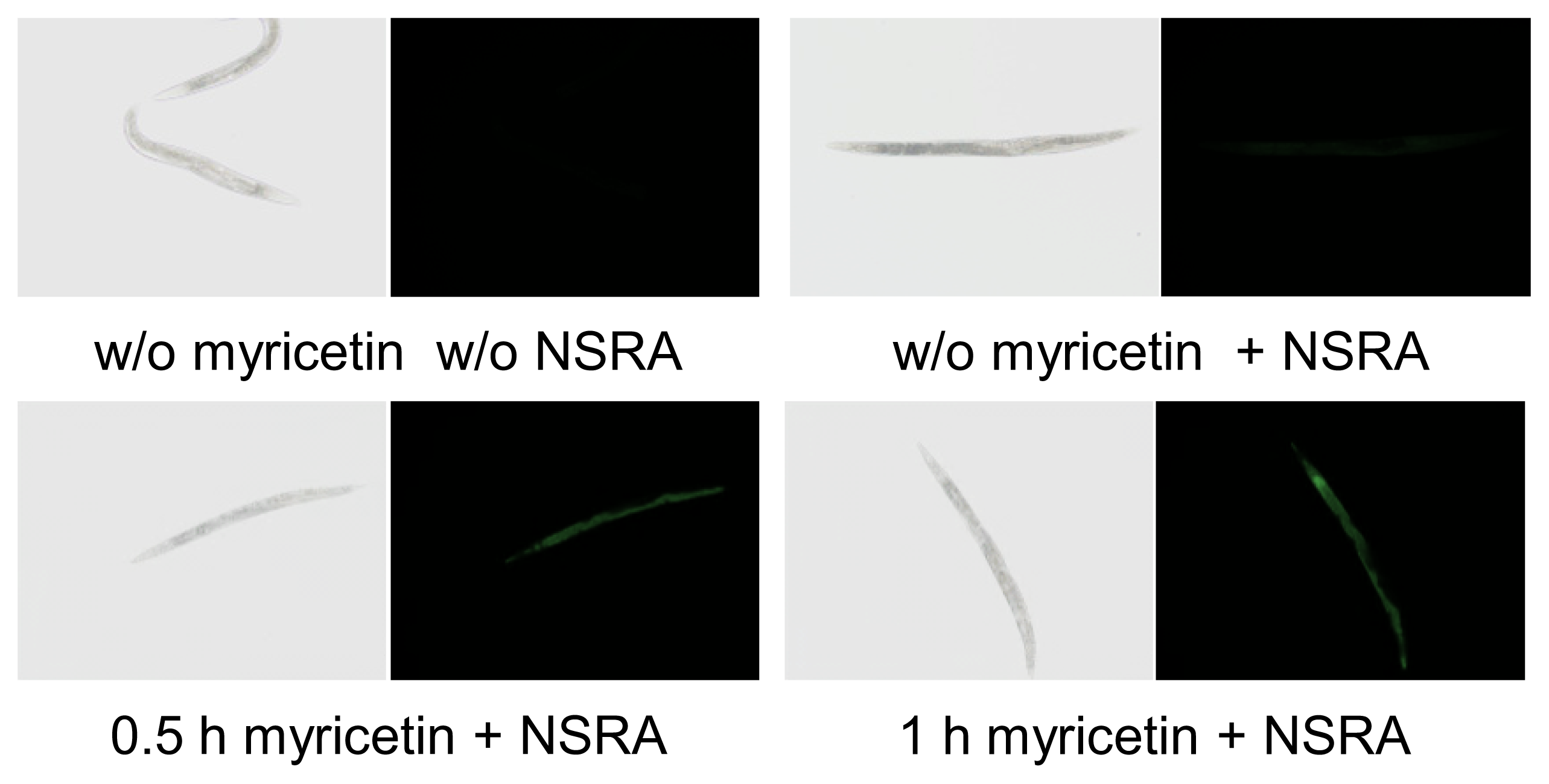 Ijms 14 11895f2a 1024