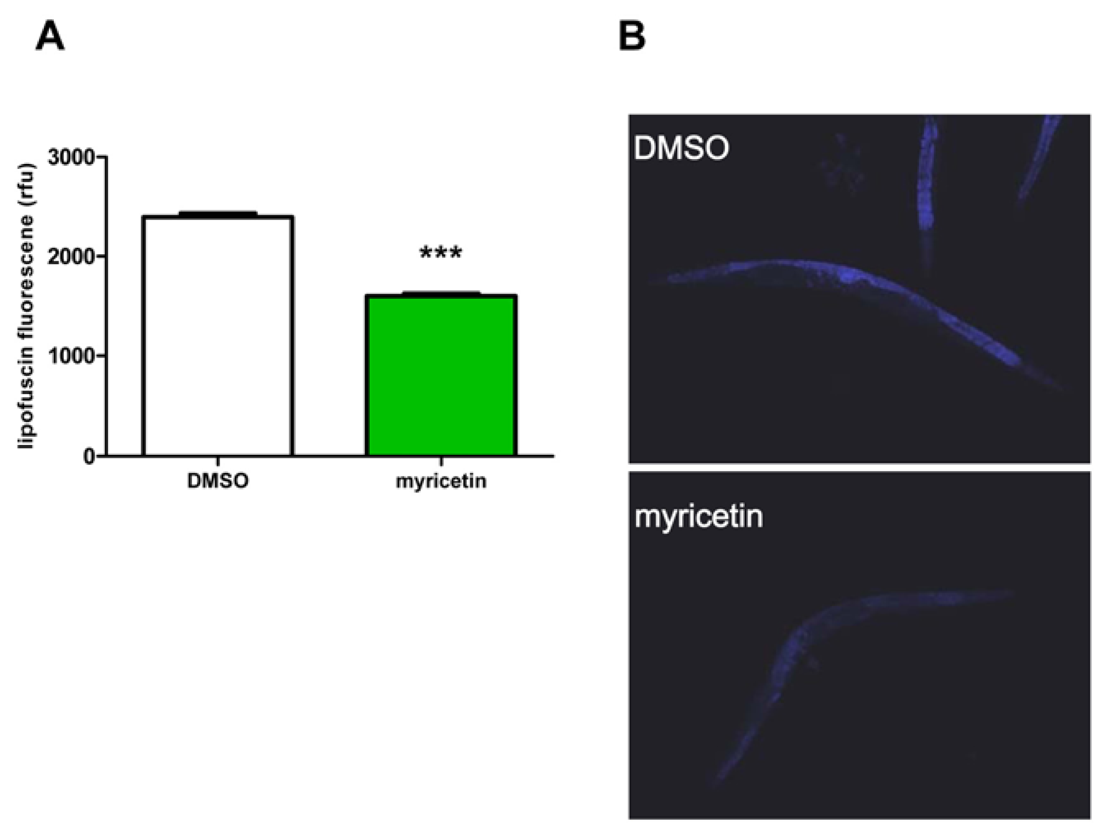 Ijms 14 11895f4 1024
