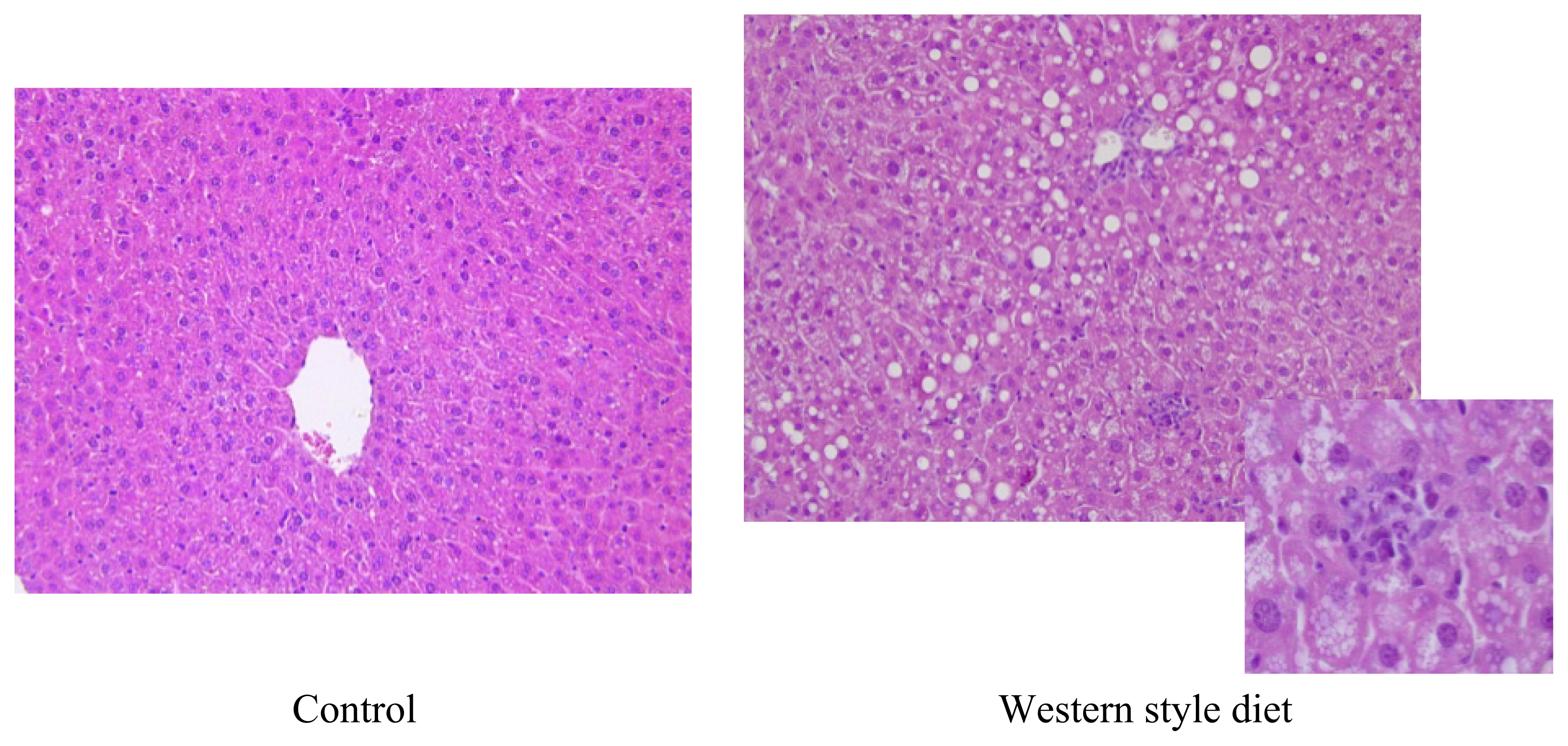 Ijms 14 11963f3 1024