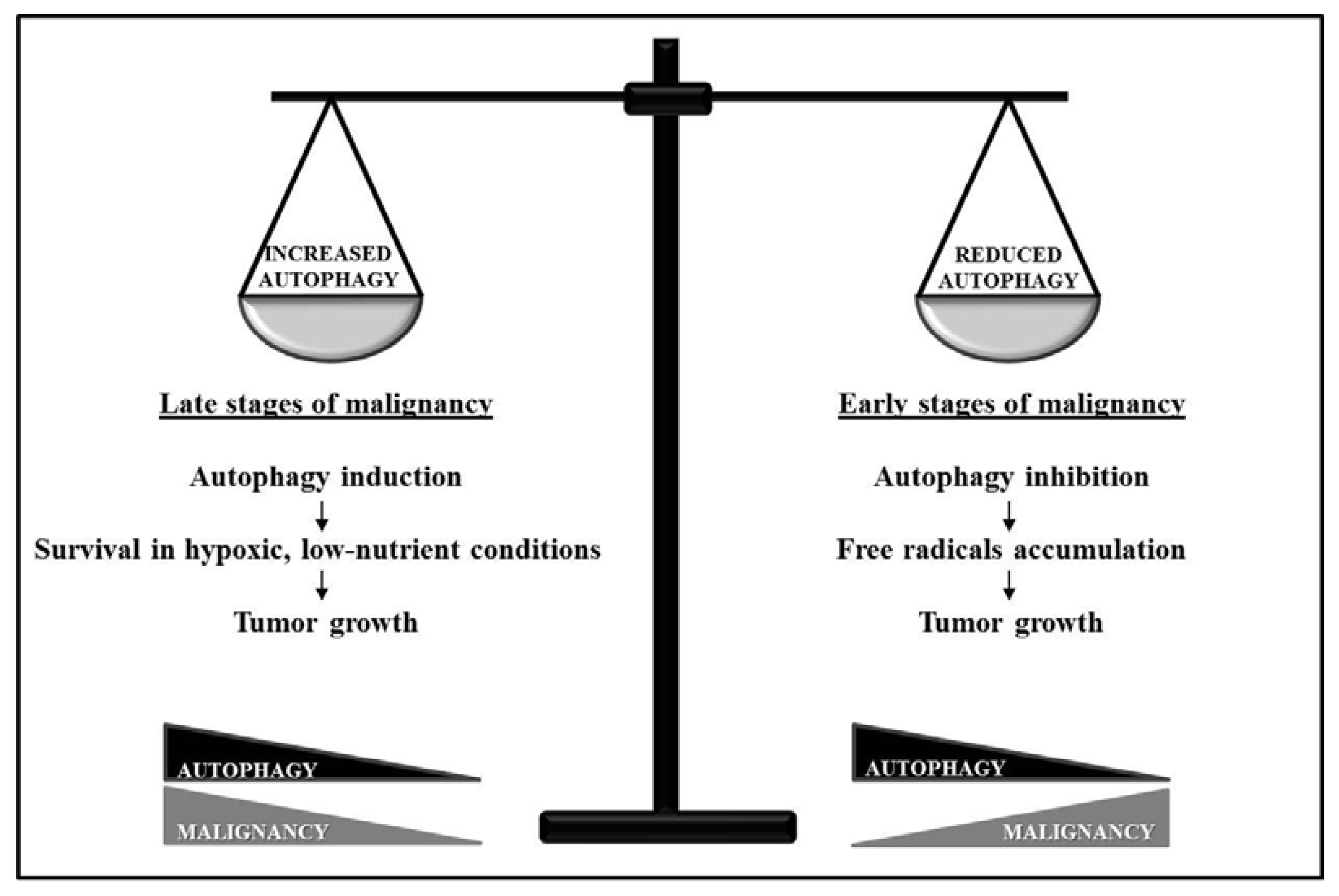 Ijms 14 12090f2 1024