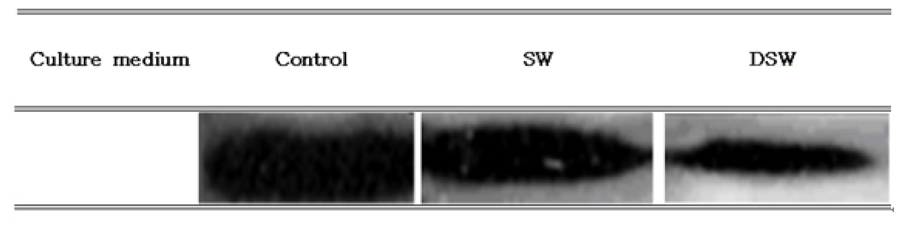 Ijms 14 12205f3 1024