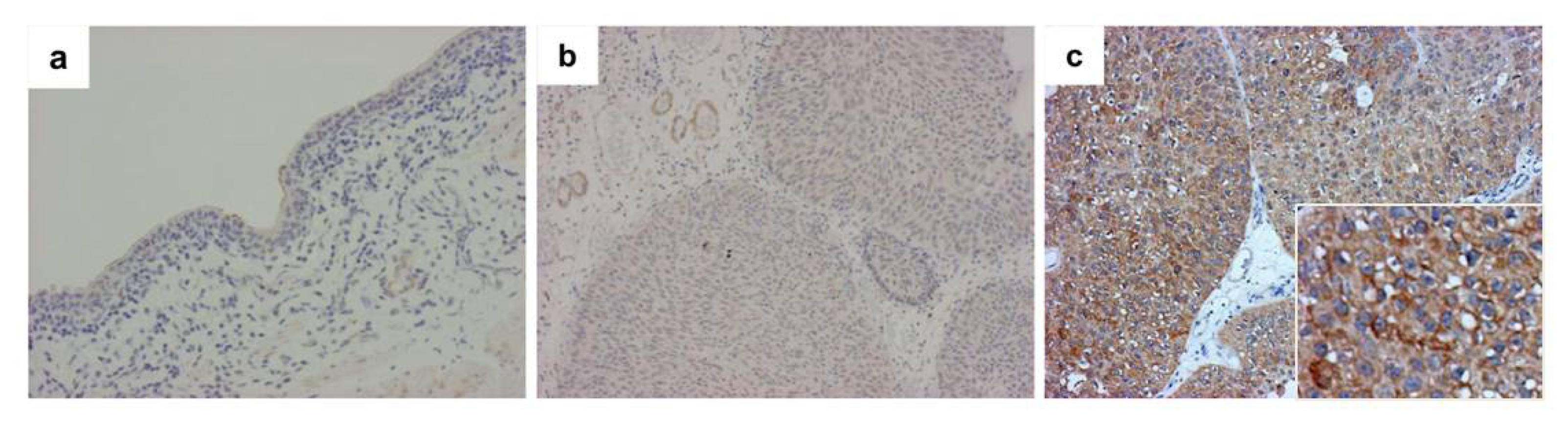 Ijms 14 12367f3 1024