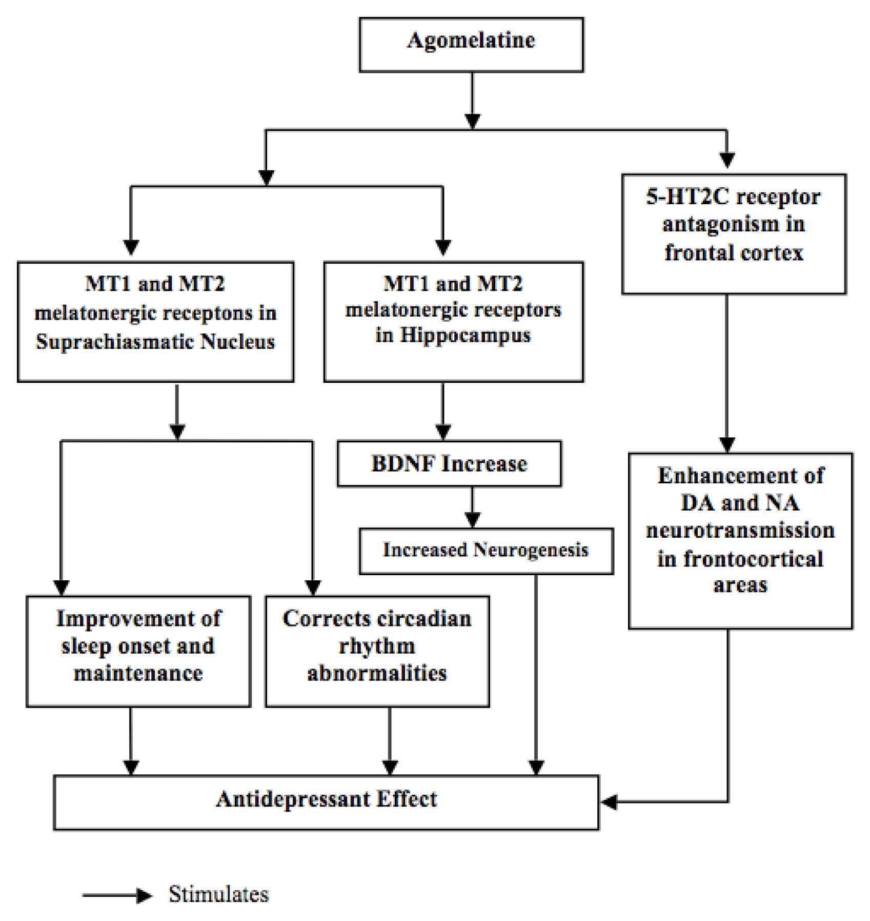 Ijms 14 12458f1 1024