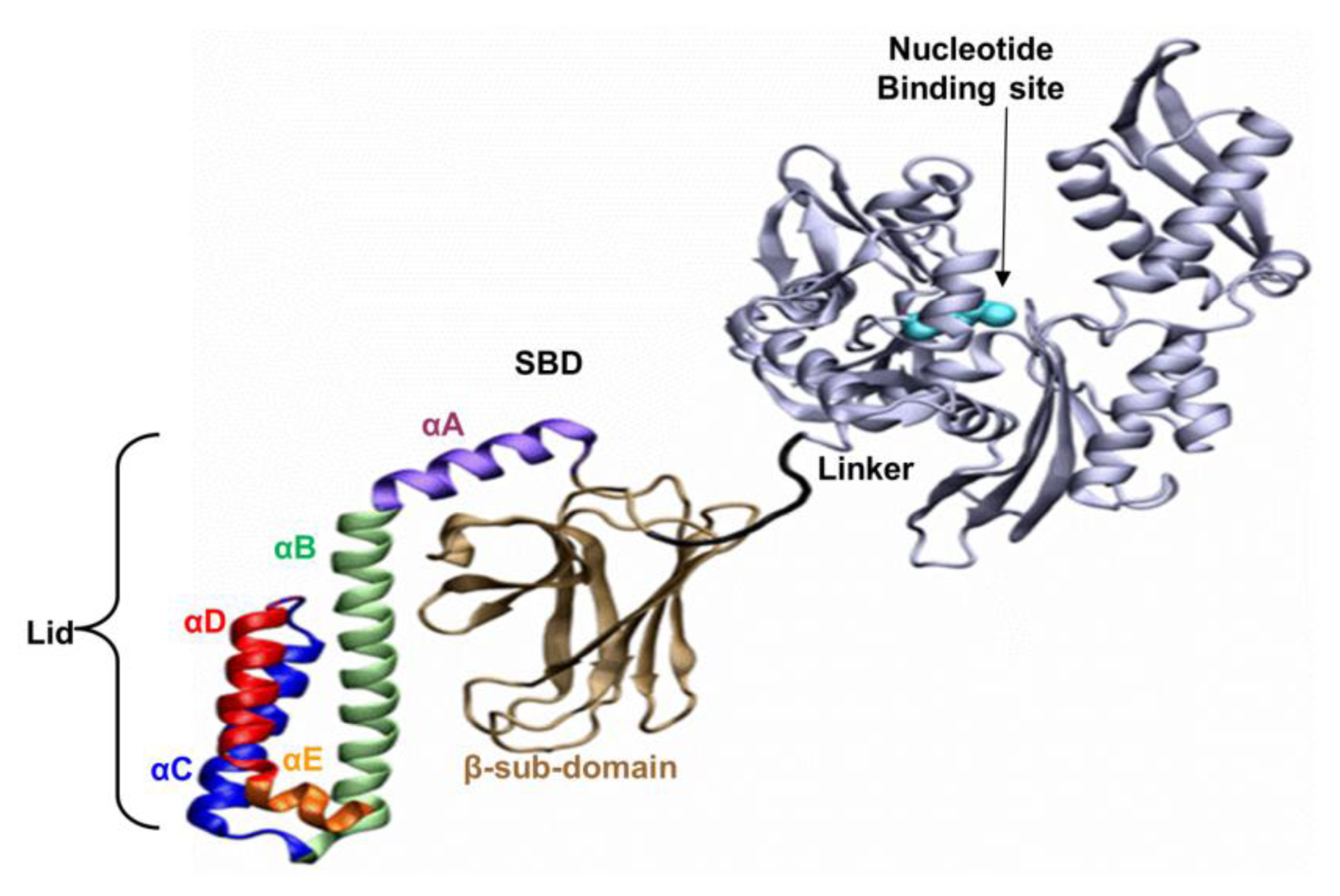 Ijms 14 12675f1 1024