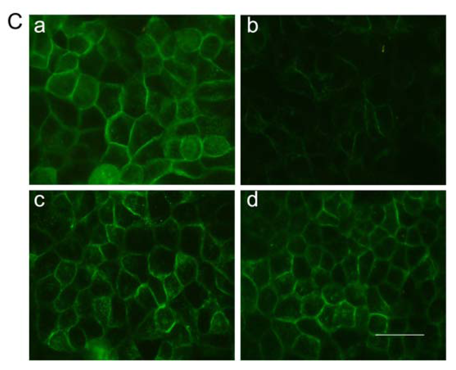 Ijms 14 12873f5b 1024