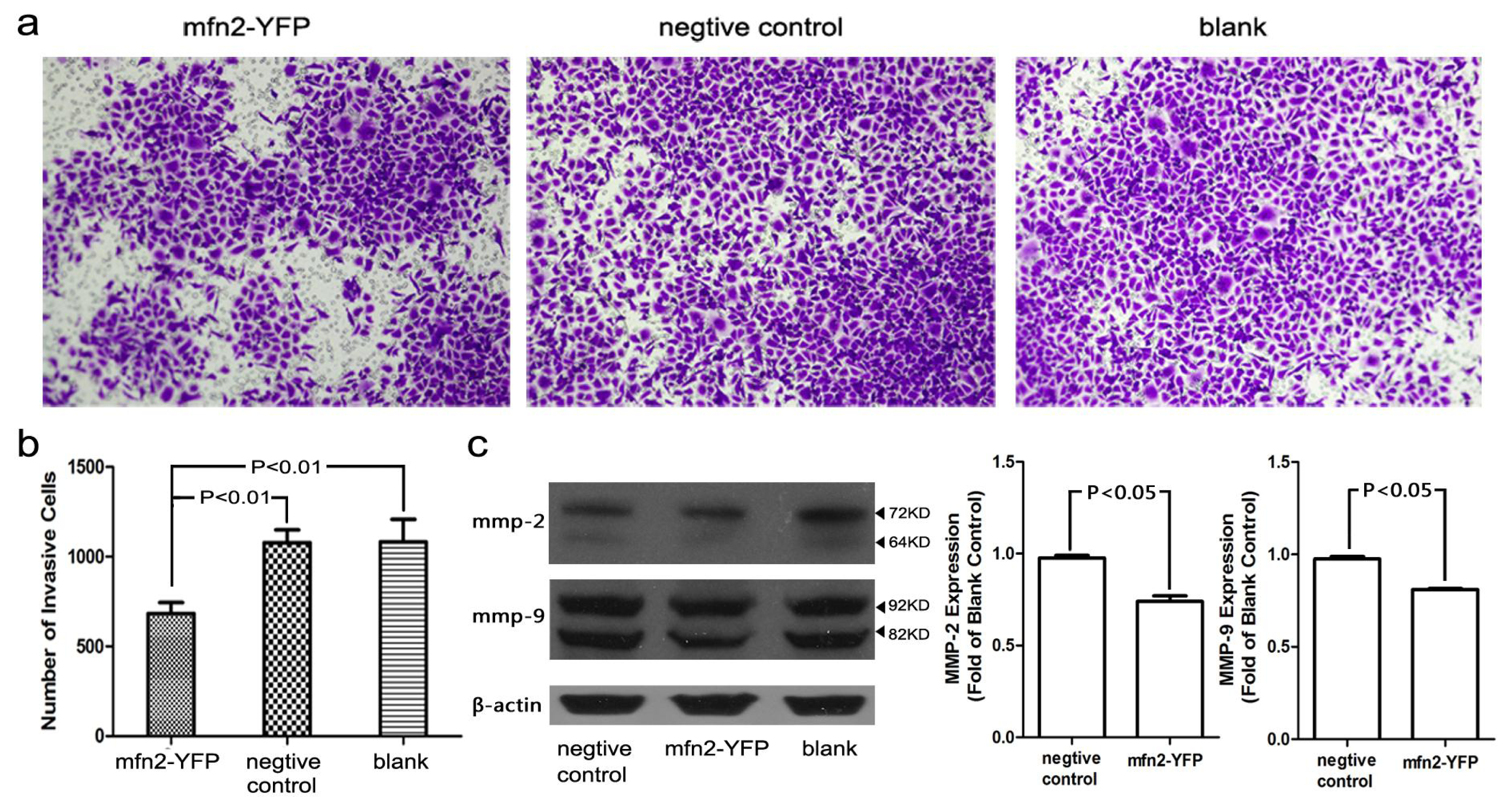 Ijms 14 13005f6 1024