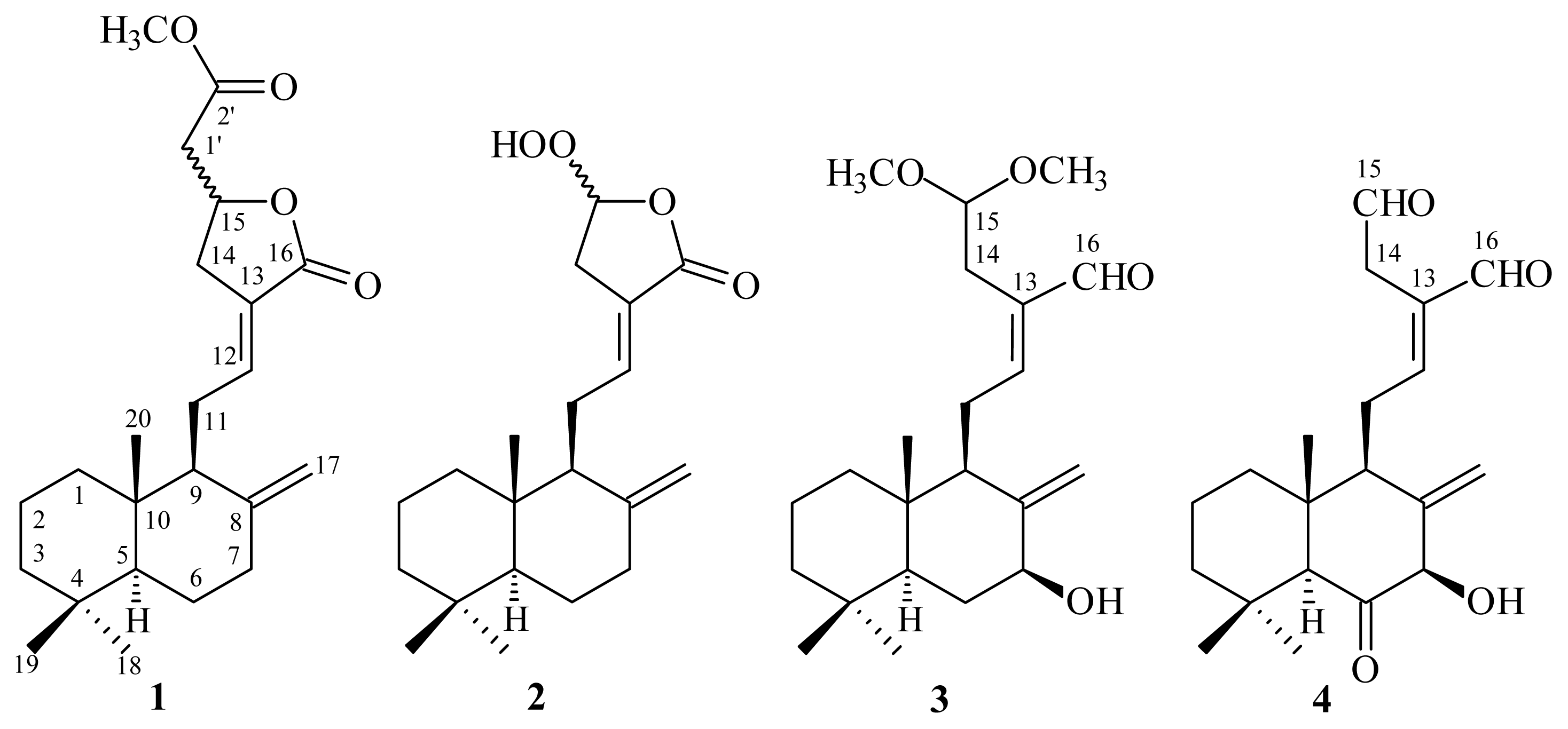 Ijms 14 13063f1