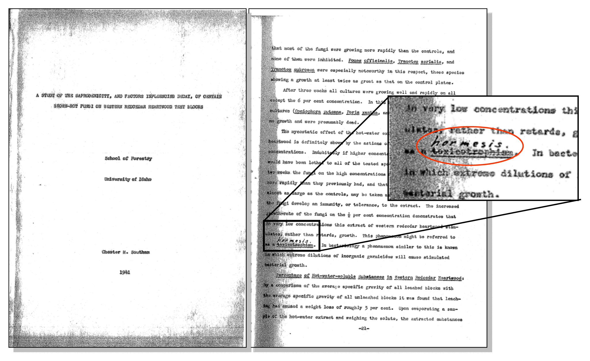 Ijms 14 13109f1 1024