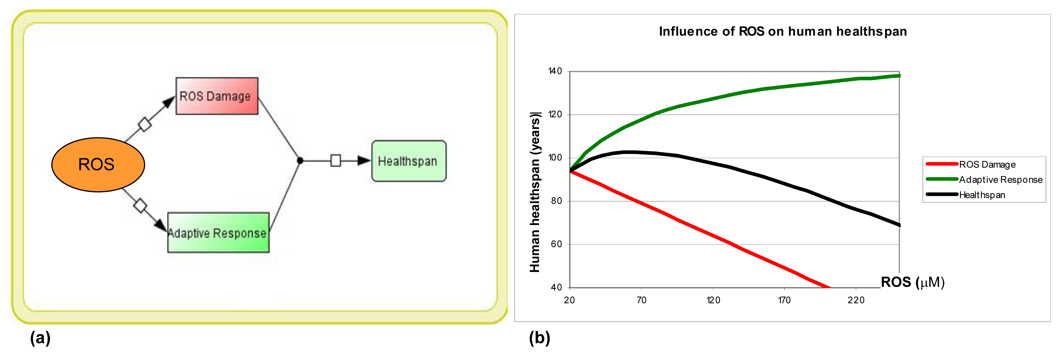 Ijms 14 13109f3 1024