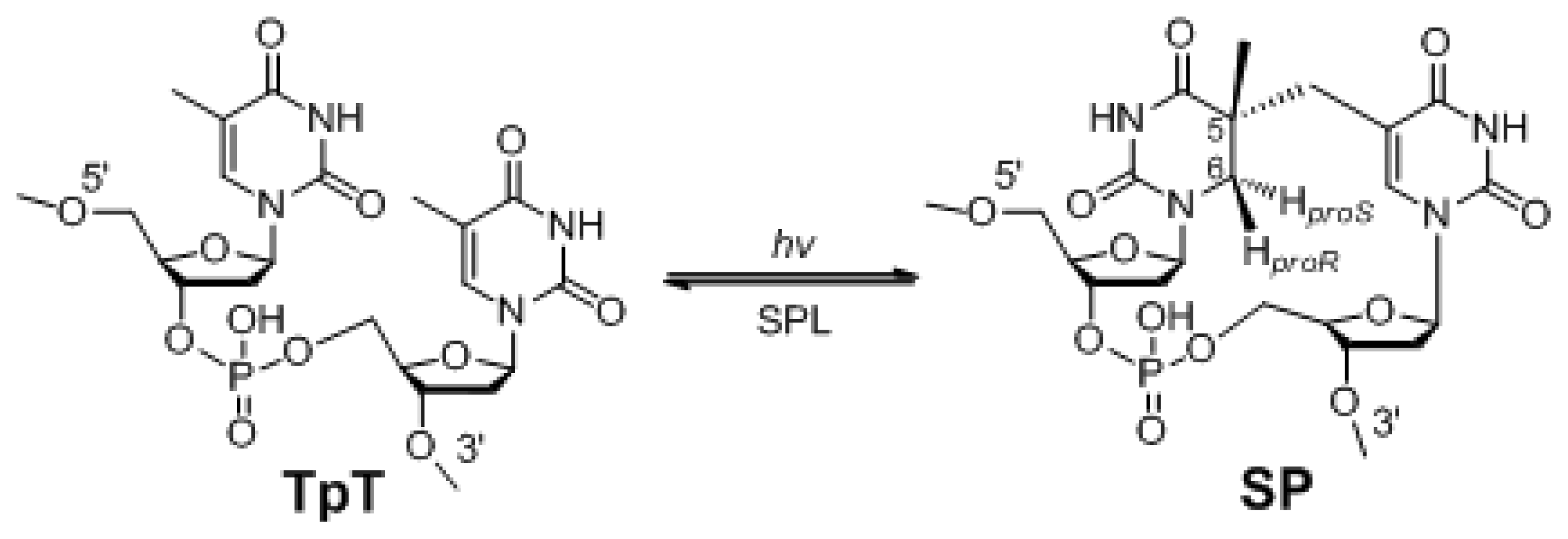 Ijms 14 13137f1 1024