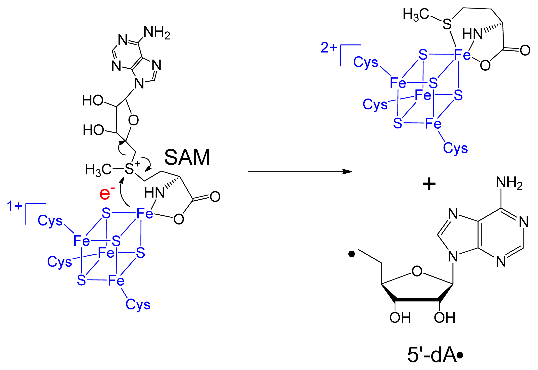 Ijms 14 13137f2 1024