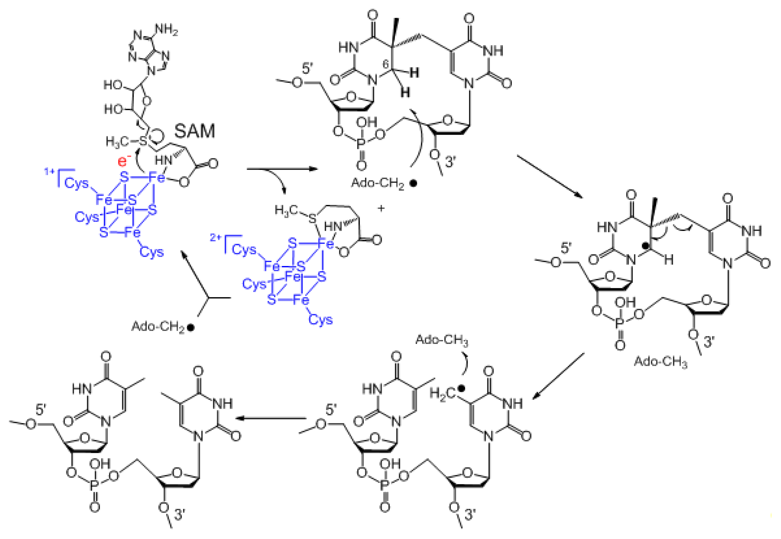 Ijms 14 13137f3 1024