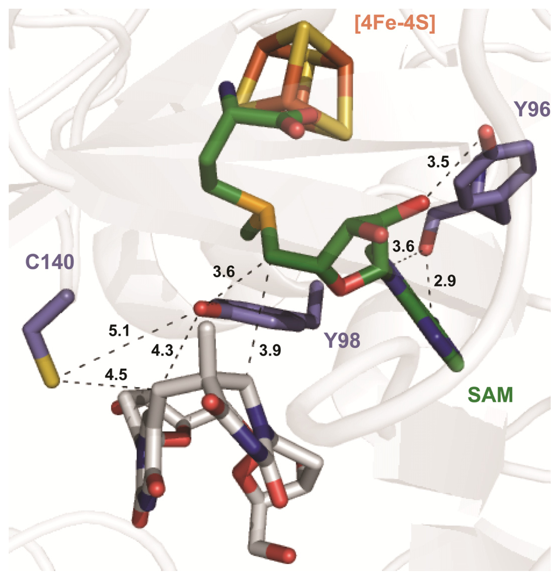 Ijms 14 13137f6 1024