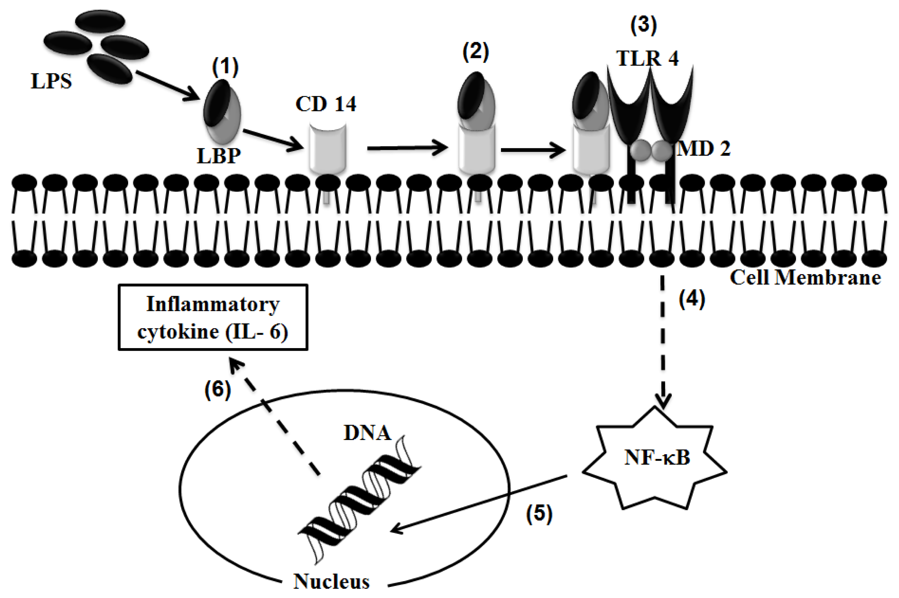 Ijms 14 13154f8 1024